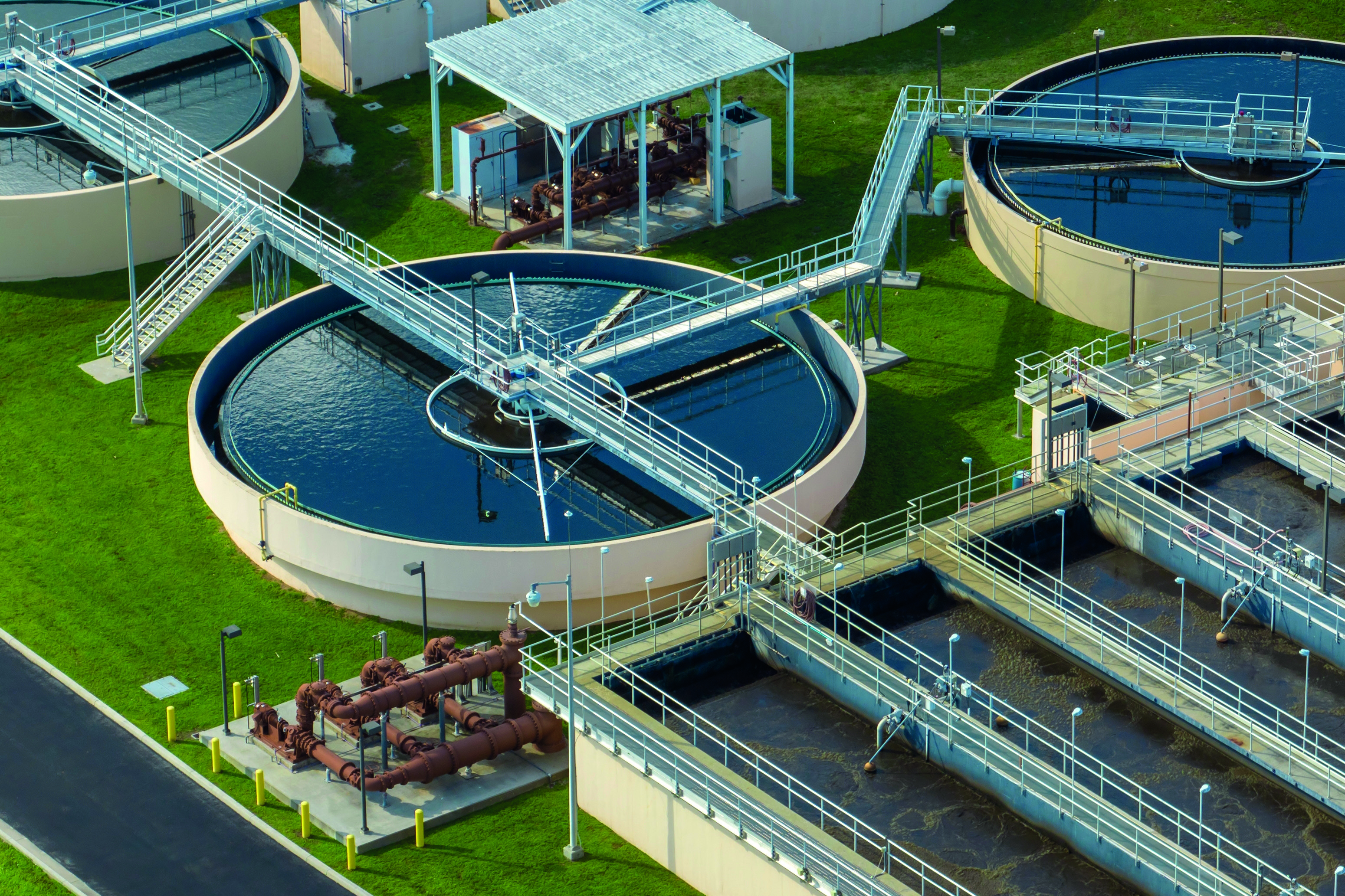 Bacteriën als wapen tegen PFAS in drinkwater