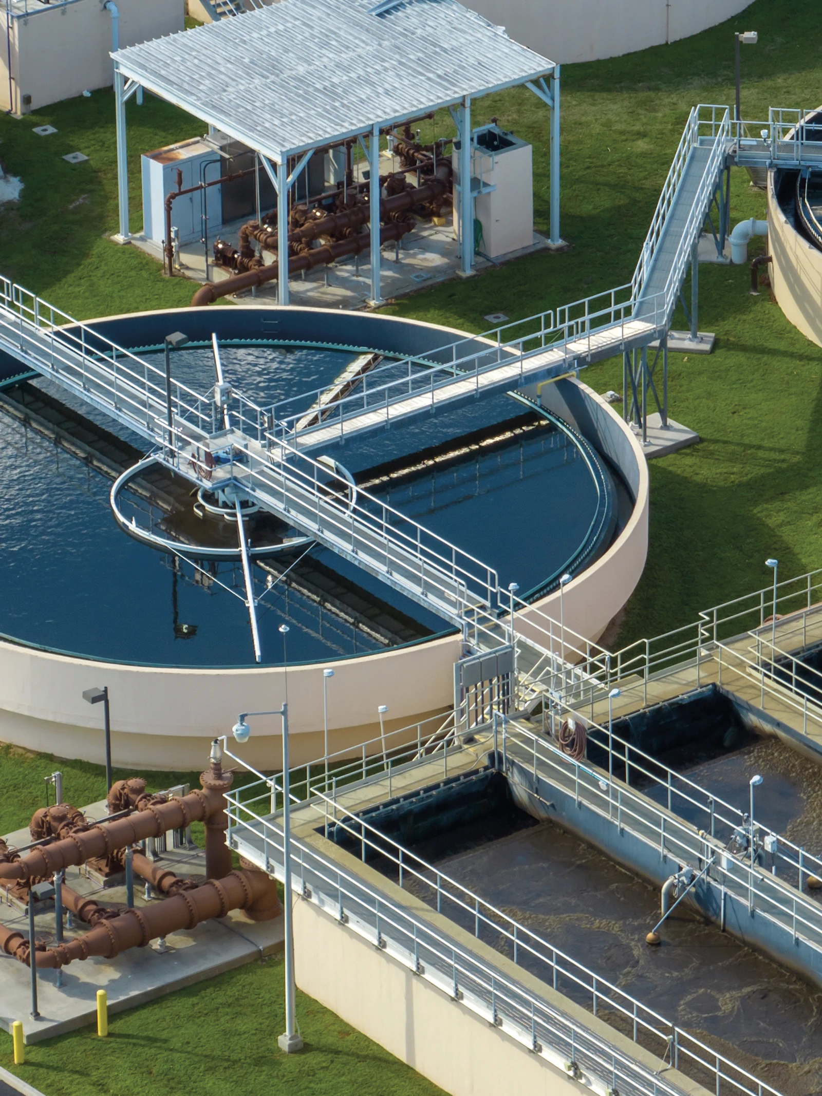 Bacteriën als wapen tegen PFAS in drinkwater