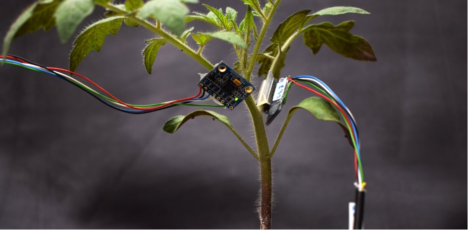 Een smartwatch voor planten