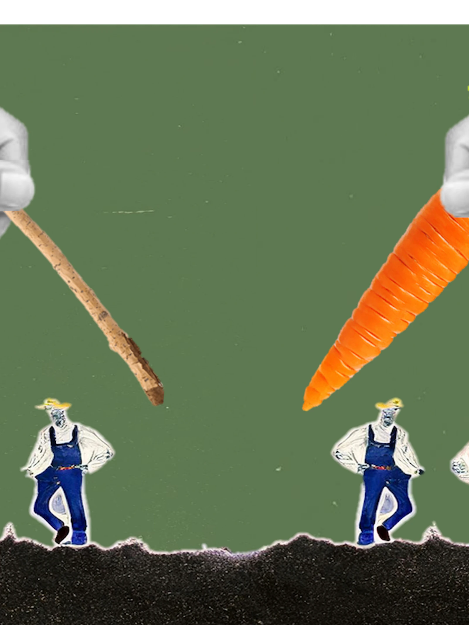 Waarom “wortels” beter werken dan “stokken” bij ecolabels