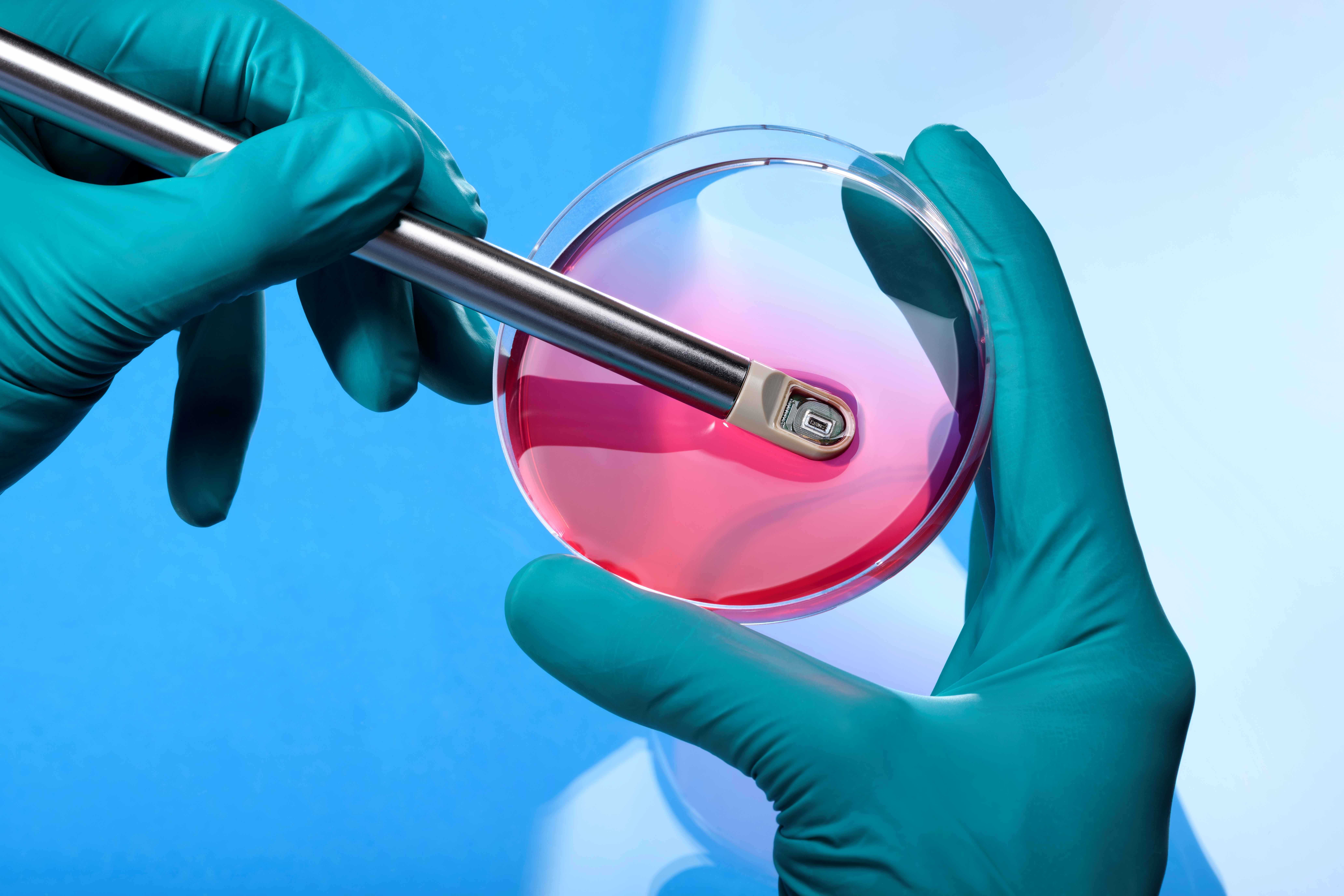 Hoe de synergie tussen technologie en menselijke expertise biologische productieprocessen transformeert