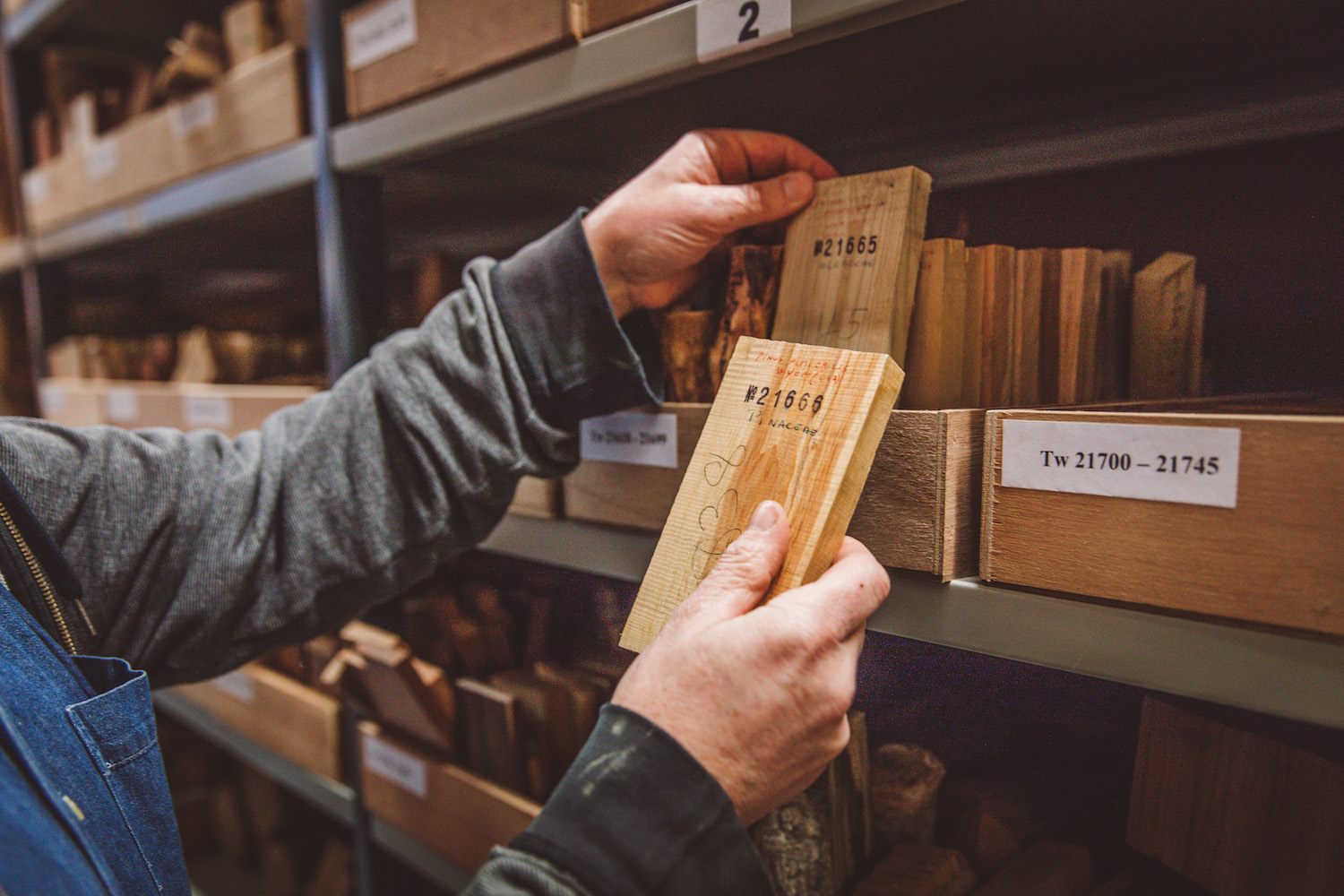 Burgers aan het werk als houtdetectives