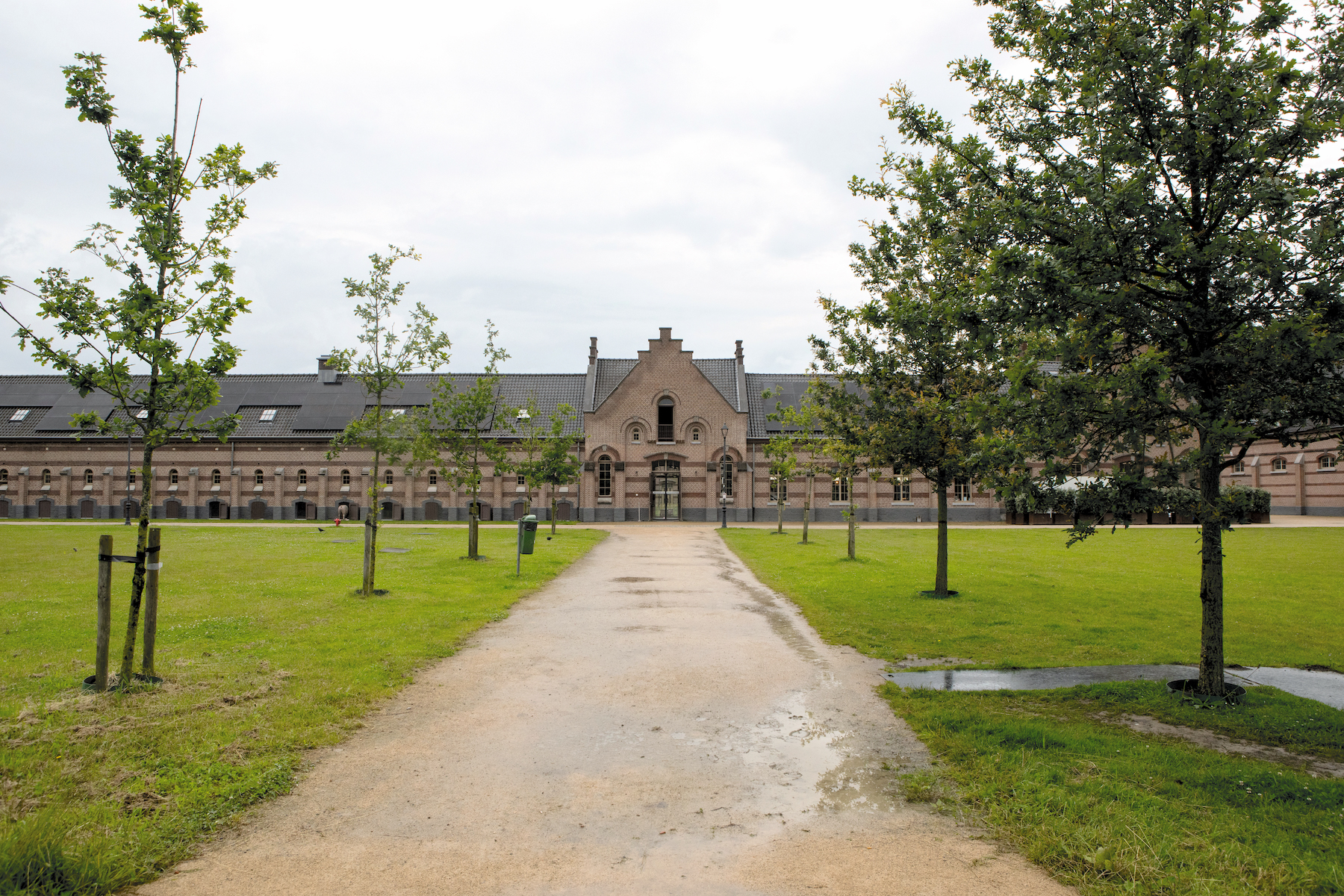 Burgerwetenschapper doet onderzoek naar kolonies in de Kempen: ‘Dit is een stukje wereldgeschiedenis’