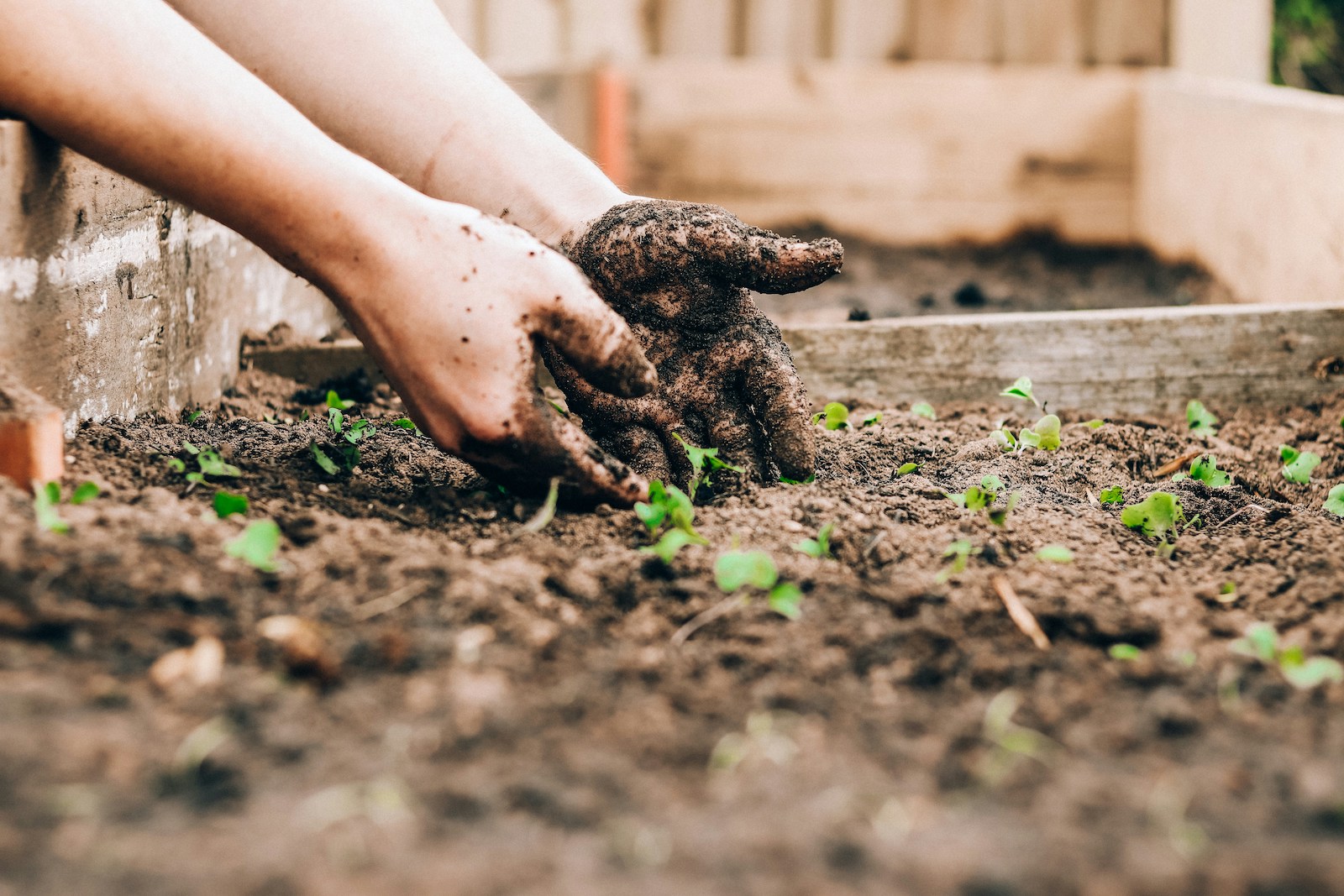 Een bodem is meer dan alleen grond waarin planten groeien