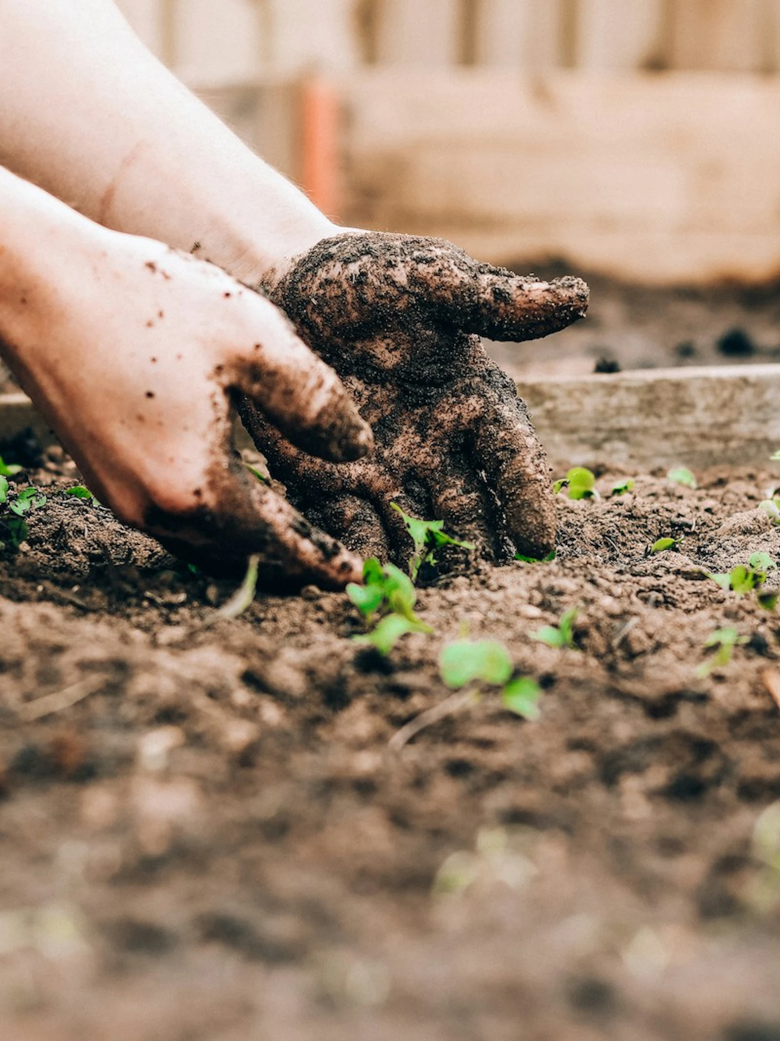Een bodem is meer dan alleen grond waarin planten groeien