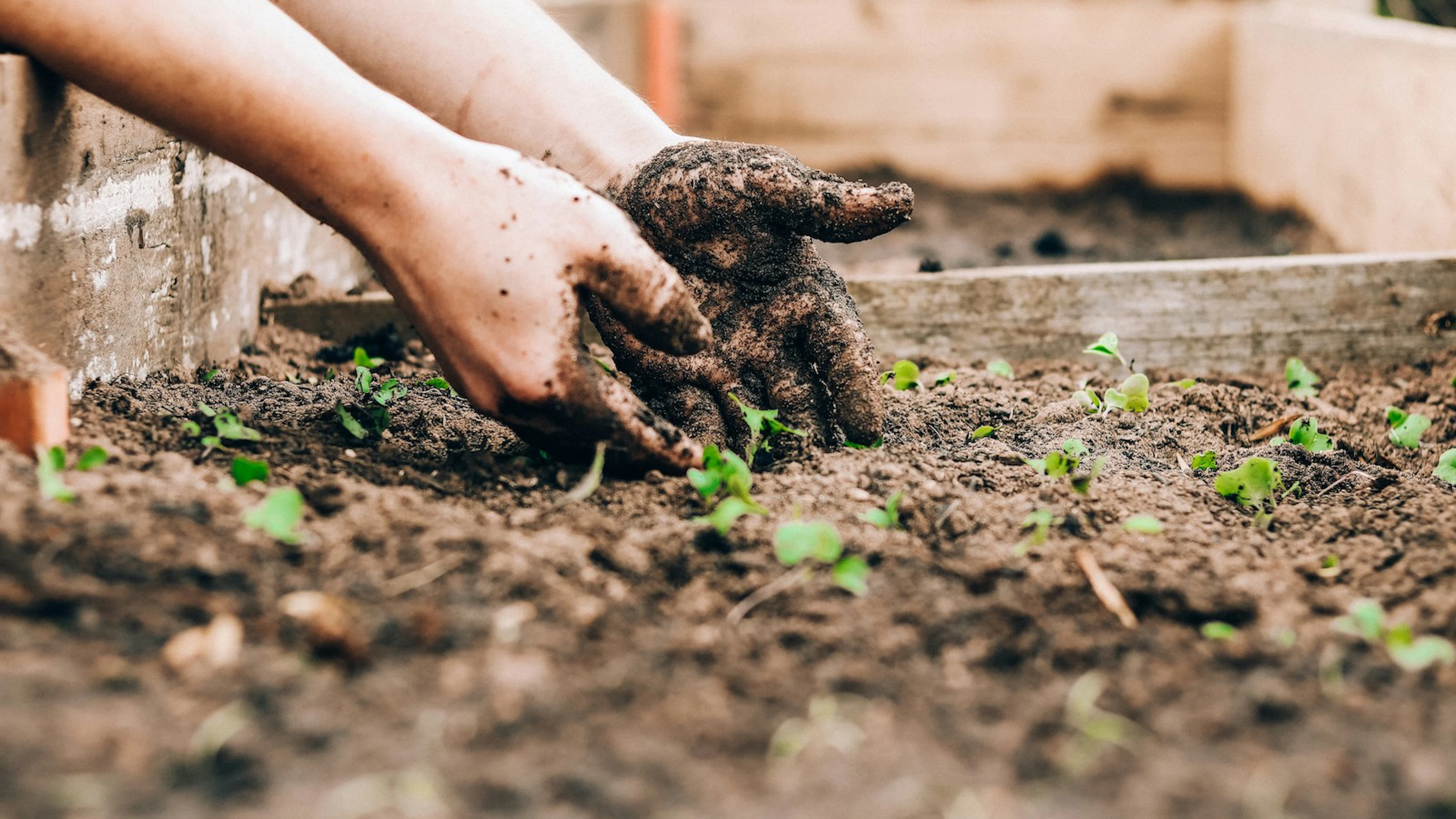 Een bodem is meer dan alleen grond waarin planten groeien