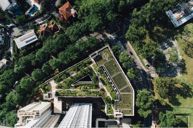 Voor wie vergroenen we onze steden?