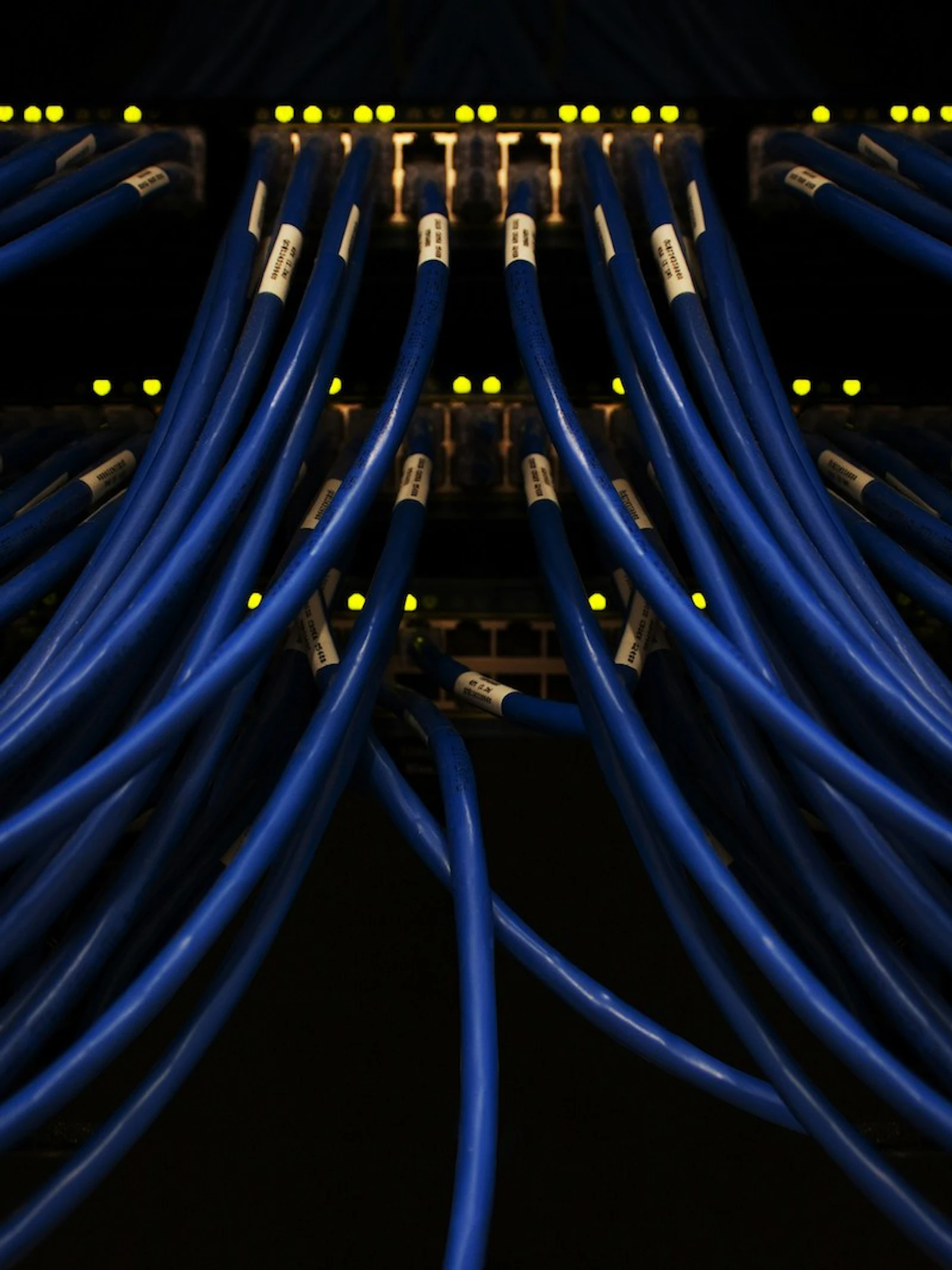 Terugblik 2024 - Paradox: duurzame technologie leidt naar hoger energieverbruik