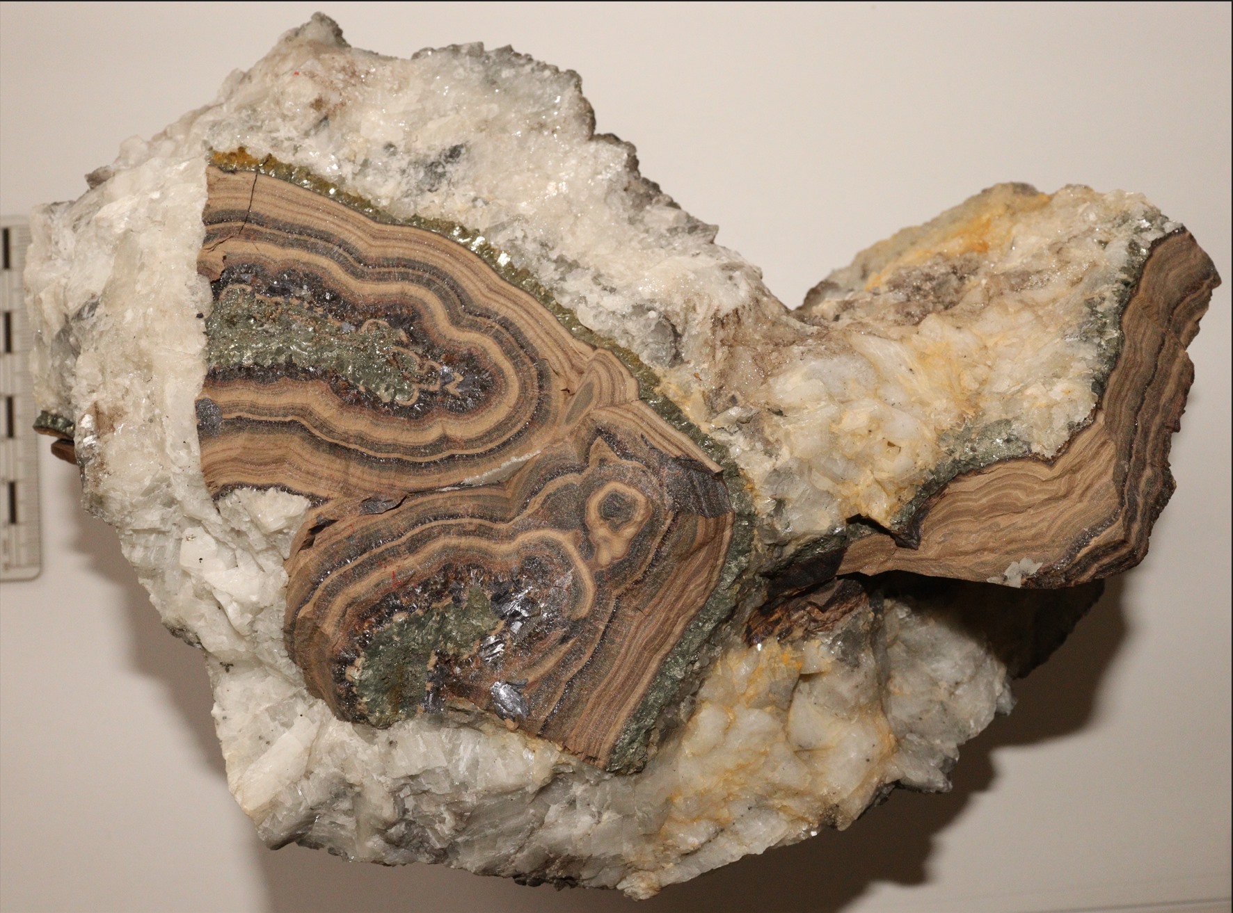 Staal van een lood-zinkader uit de steengroeve van Seilles (provincie Namen). De lood- en zinkmineralen kunnen verrijkt zijn met germanium, één van de kritieke grondstoffen. (Foto: KBIN)