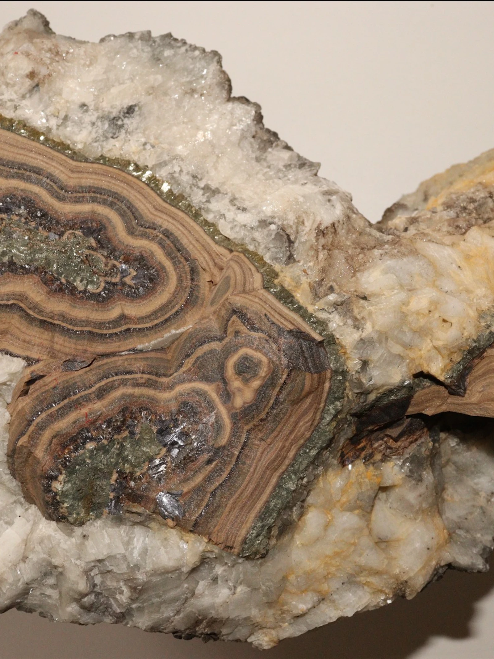 Staal van een lood-zinkader uit de steengroeve van Seilles (provincie Namen). De lood- en zinkmineralen kunnen verrijkt zijn met germanium, één van de kritieke grondstoffen. (Foto: KBIN) Staal van een lood-zinkader uit de steengroeve van Seilles (provincie Namen). De lood- en zinkmineralen kunnen verrijkt zijn met germanium, één van de kritieke grondstoffen. (Foto: KBIN)