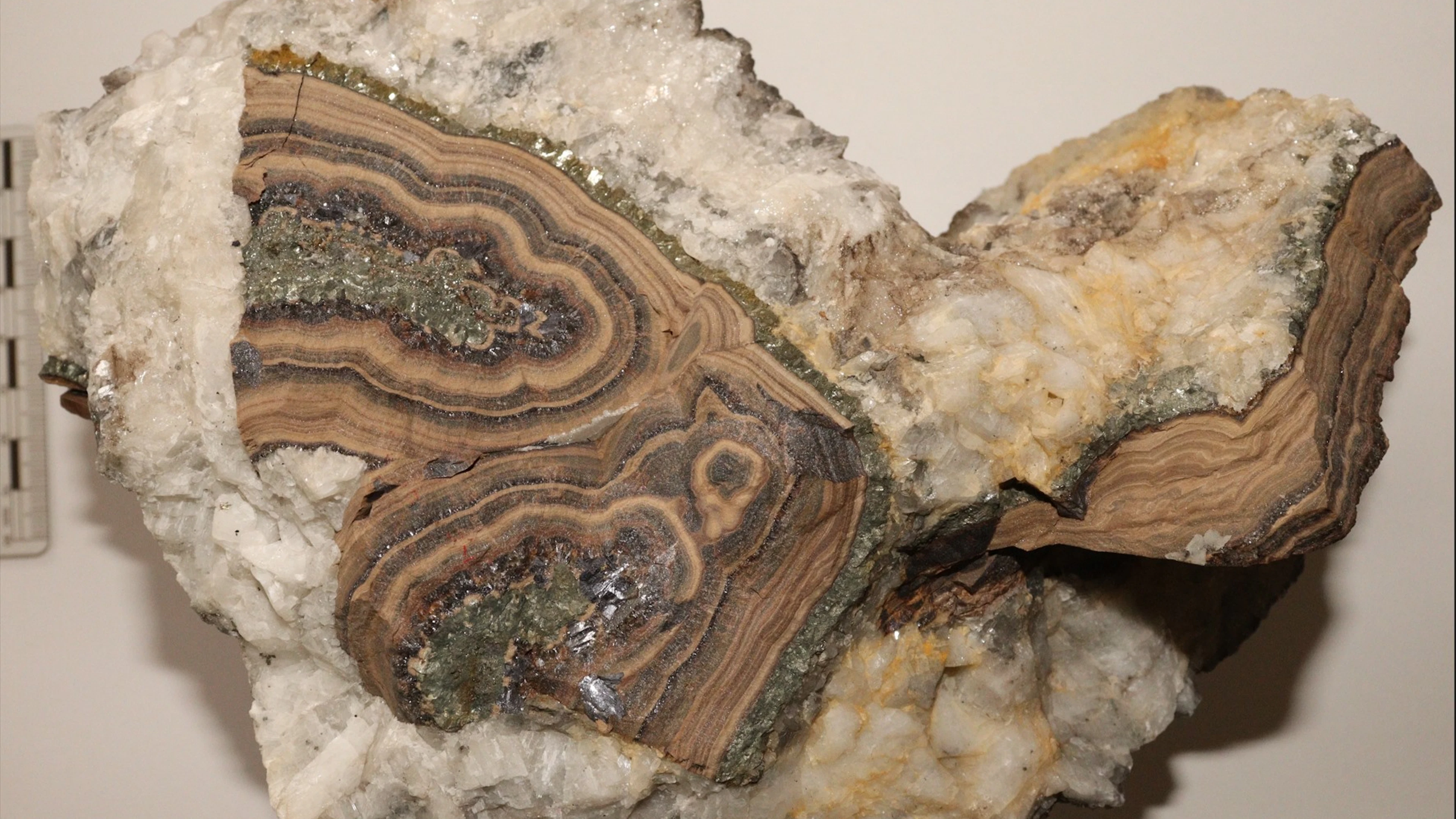 Staal van een lood-zinkader uit de steengroeve van Seilles (provincie Namen). De lood- en zinkmineralen kunnen verrijkt zijn met germanium, één van de kritieke grondstoffen. (Foto: KBIN) Staal van een lood-zinkader uit de steengroeve van Seilles (provincie Namen). De lood- en zinkmineralen kunnen verrijkt zijn met germanium, één van de kritieke grondstoffen. (Foto: KBIN)