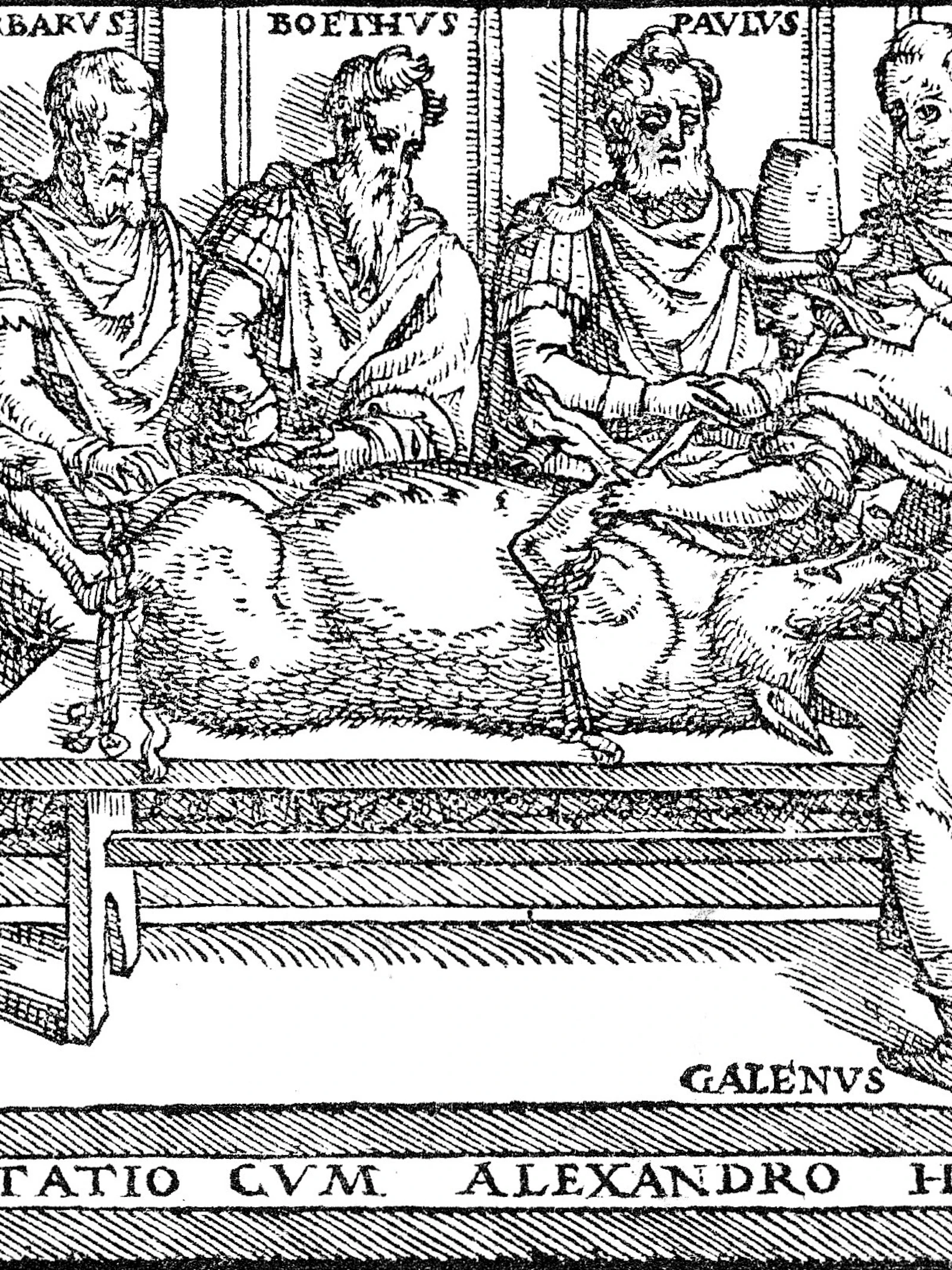 Onderzoekers herhalen ontledingen van Grieks-Romeinse arts Galenus: ‘Een heel zintuiglijke ervaring’