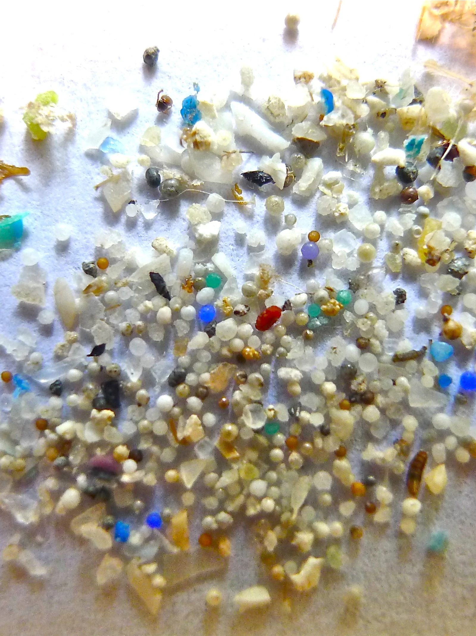 Microplastics in muizenhersenen veroorzaken trombose
