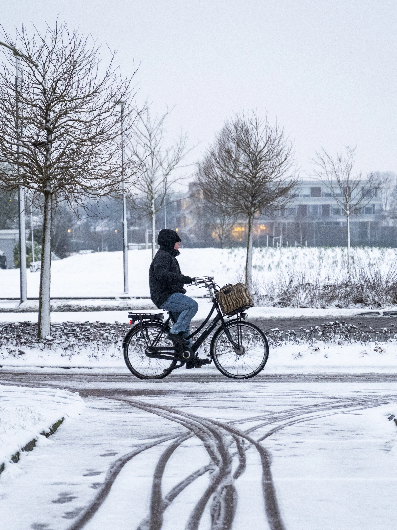 Waarom maakt sneeuw ons zo blij?