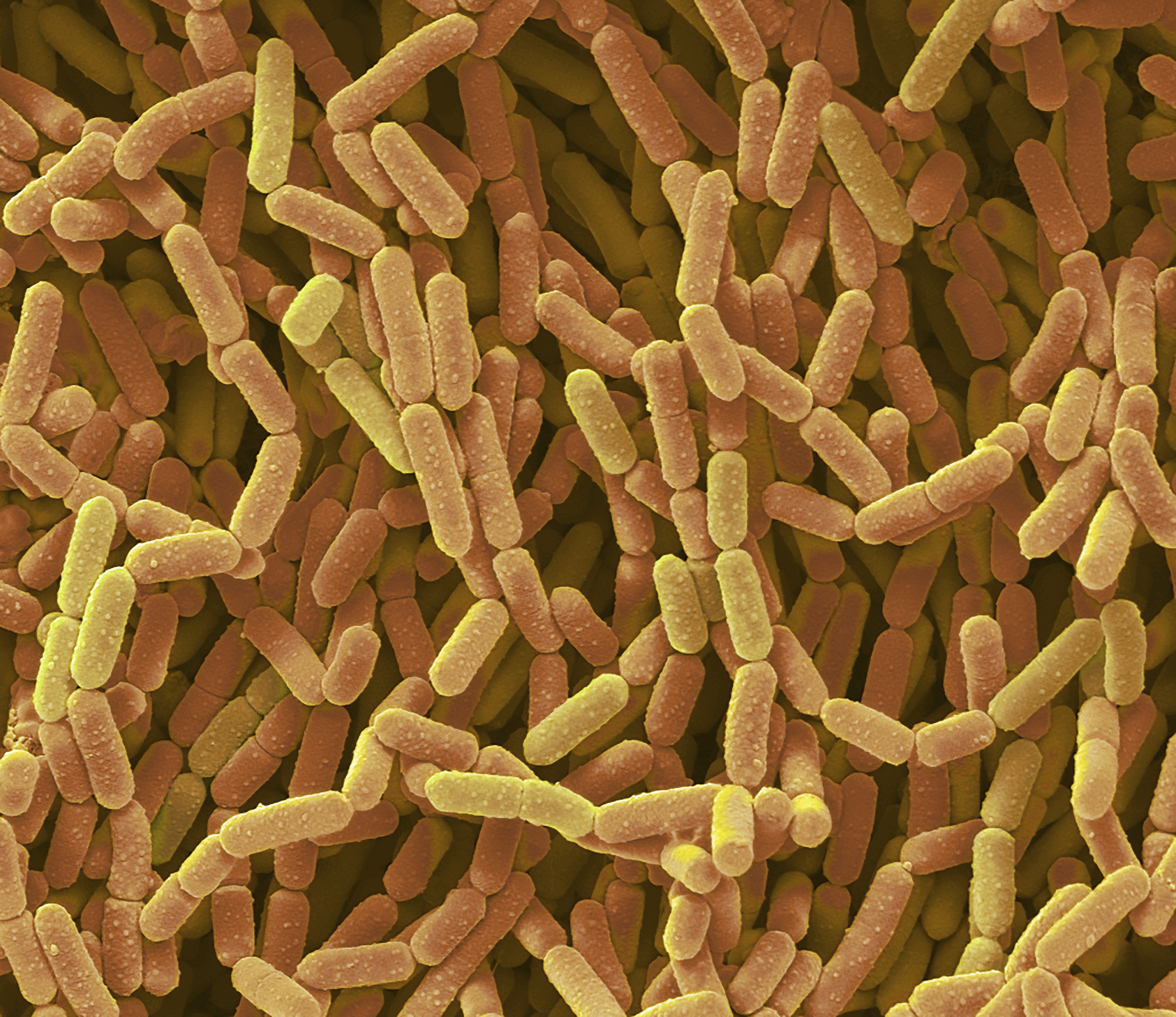Daders van seksueel geweld laten unieke microbiële sporen achter