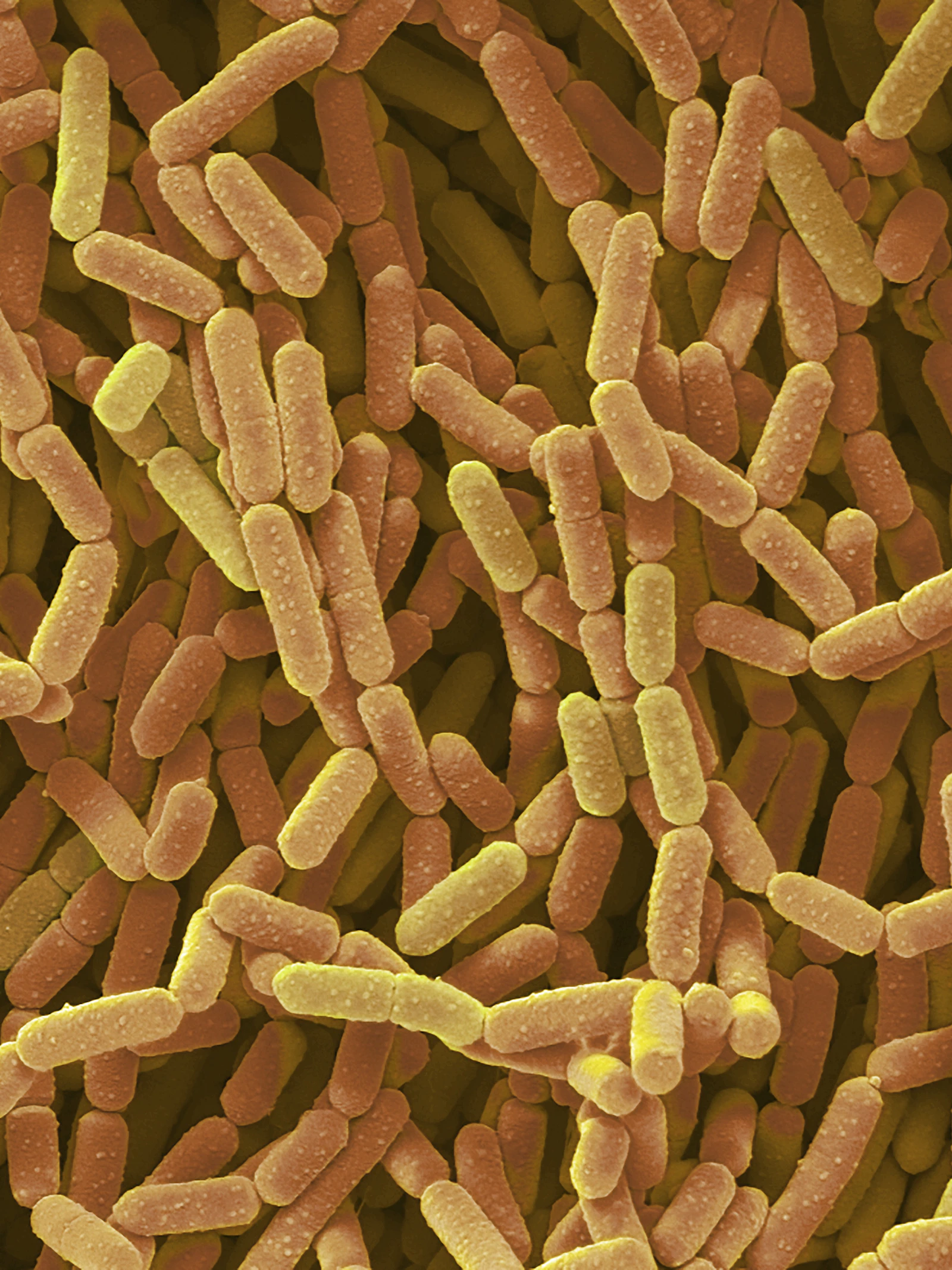 Daders van seksueel geweld laten unieke microbiële sporen achter