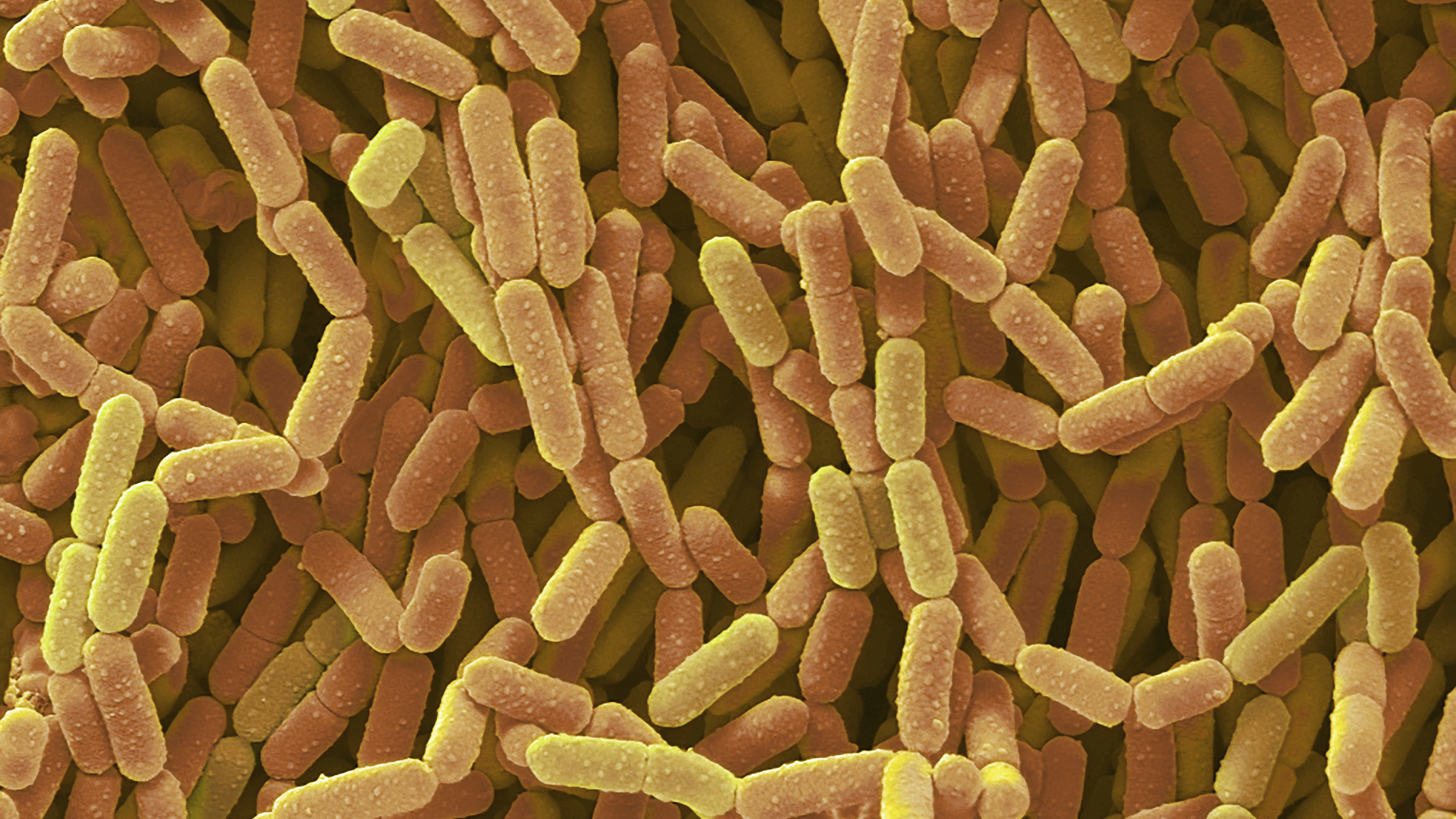 Daders van seksueel geweld laten unieke microbiële sporen achter