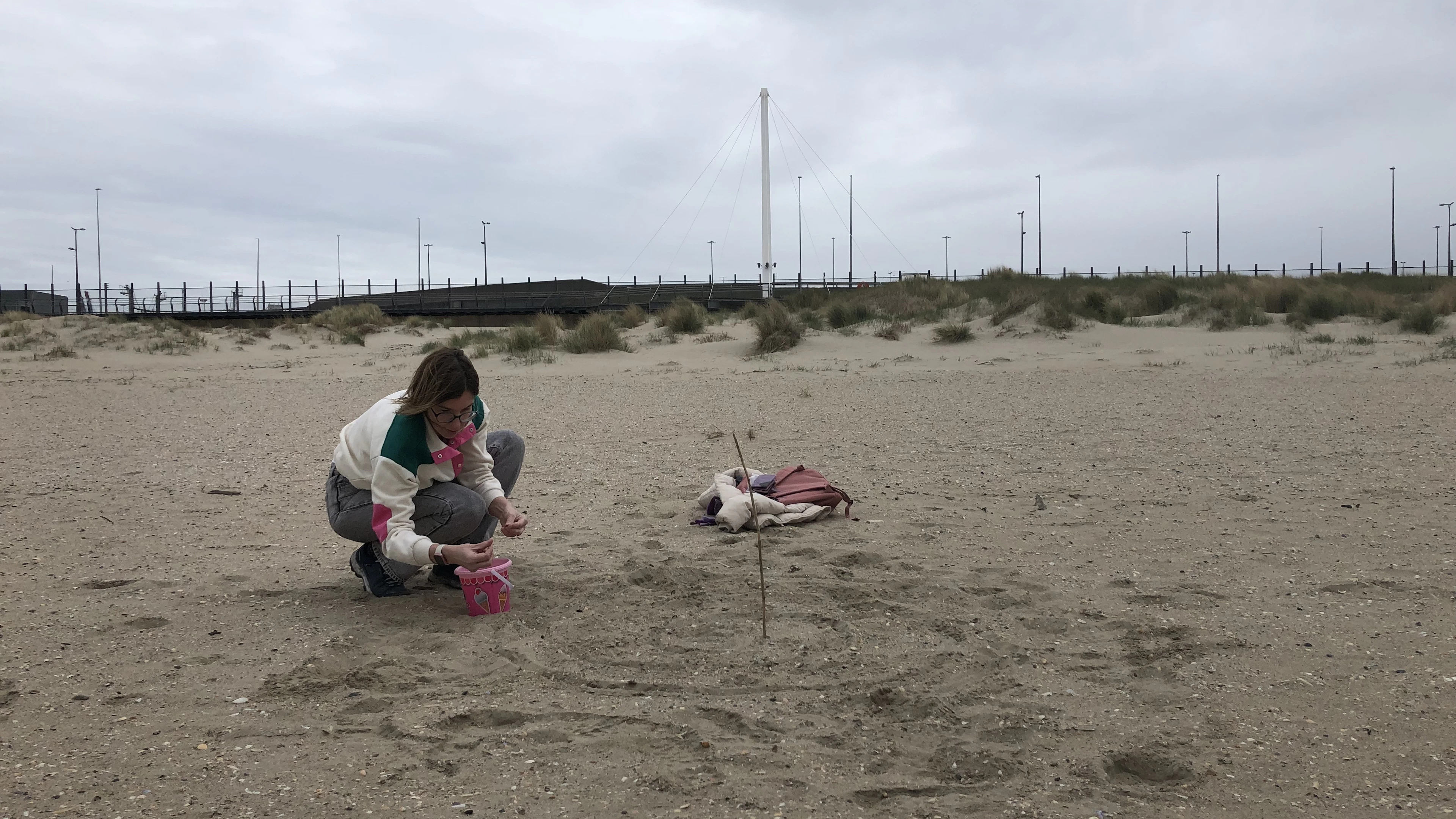 De kokkels aan onze kust zijn vaak duizenden jaren oud