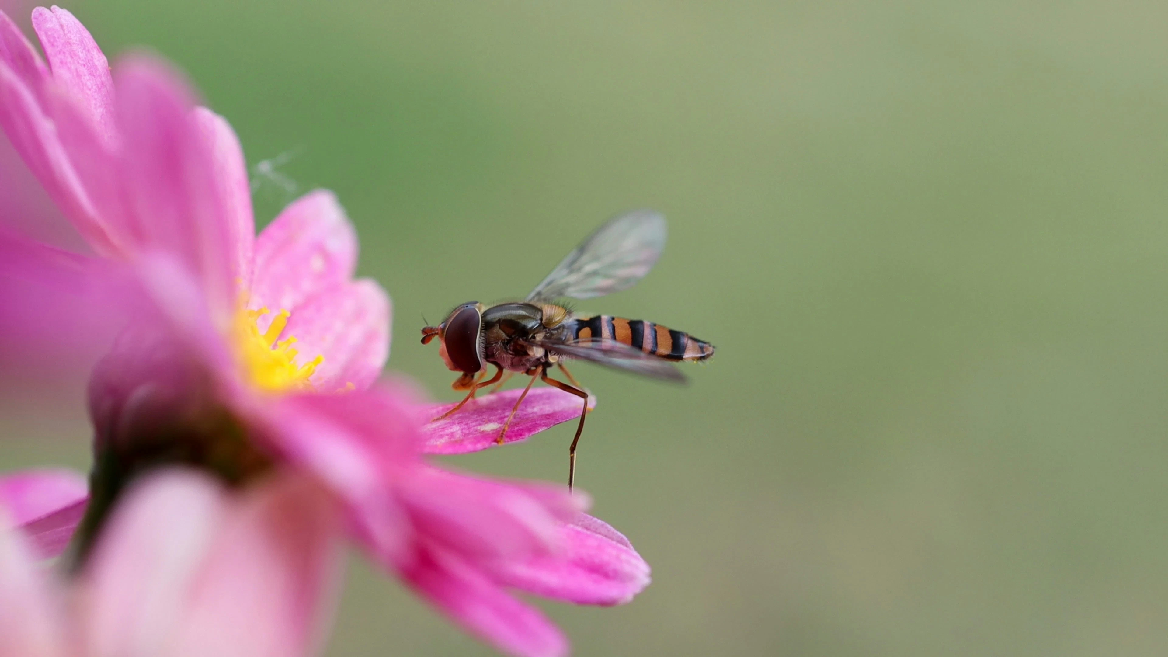 Foto door Salah Ait Mokhtar via Unsplash