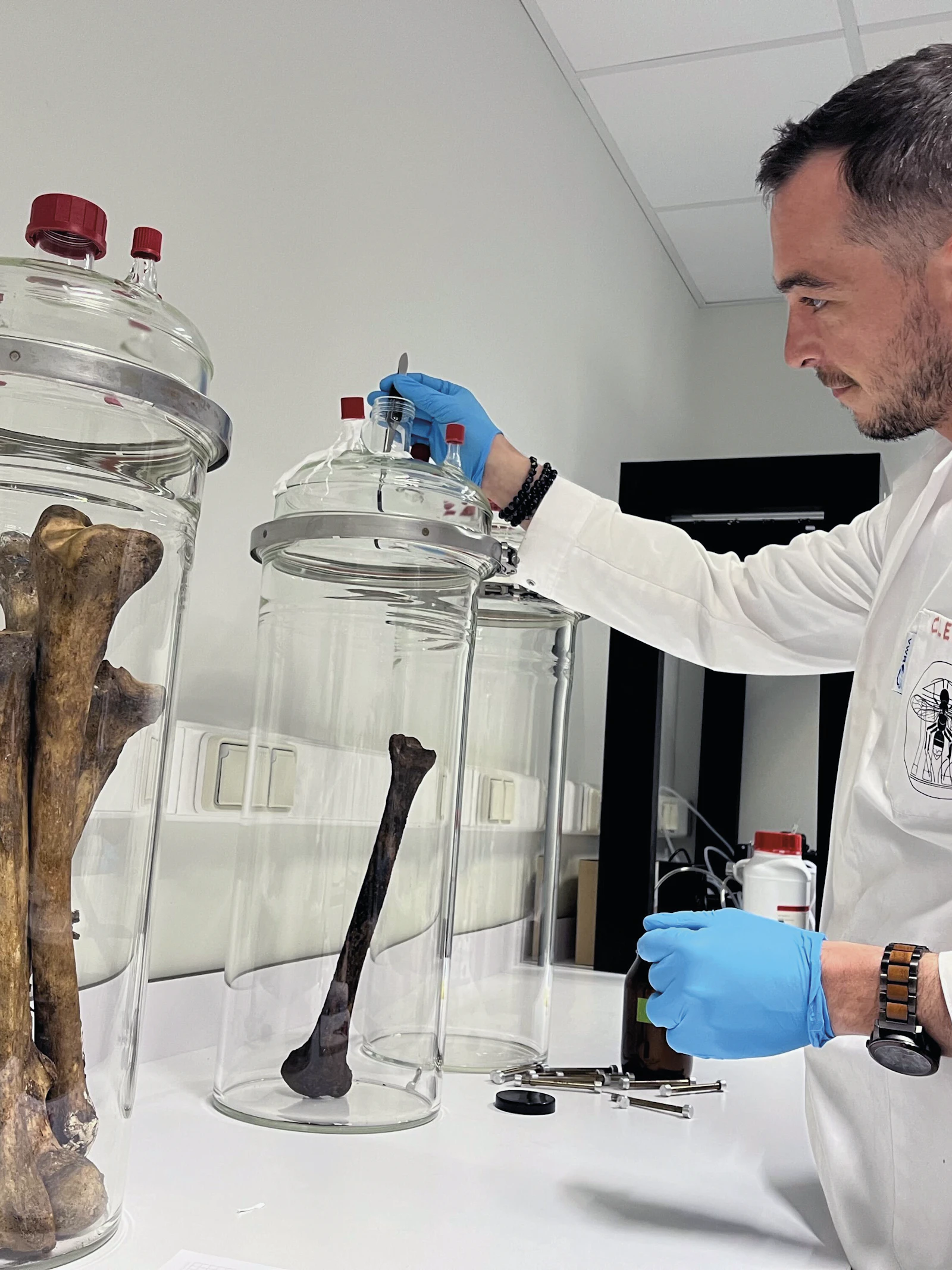 Zo ruikt de dood: waarom deze wetenschapper een ‘parfum’ van botten maakt