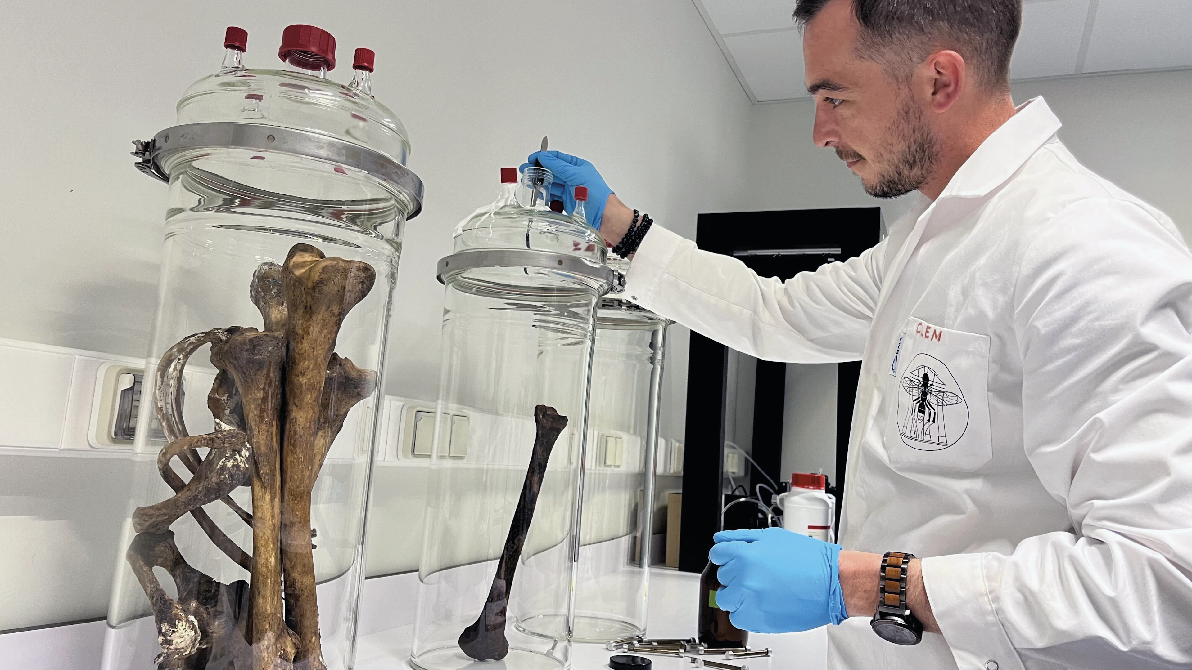 Zo ruikt de dood: waarom deze wetenschapper een ‘parfum’ van botten maakt