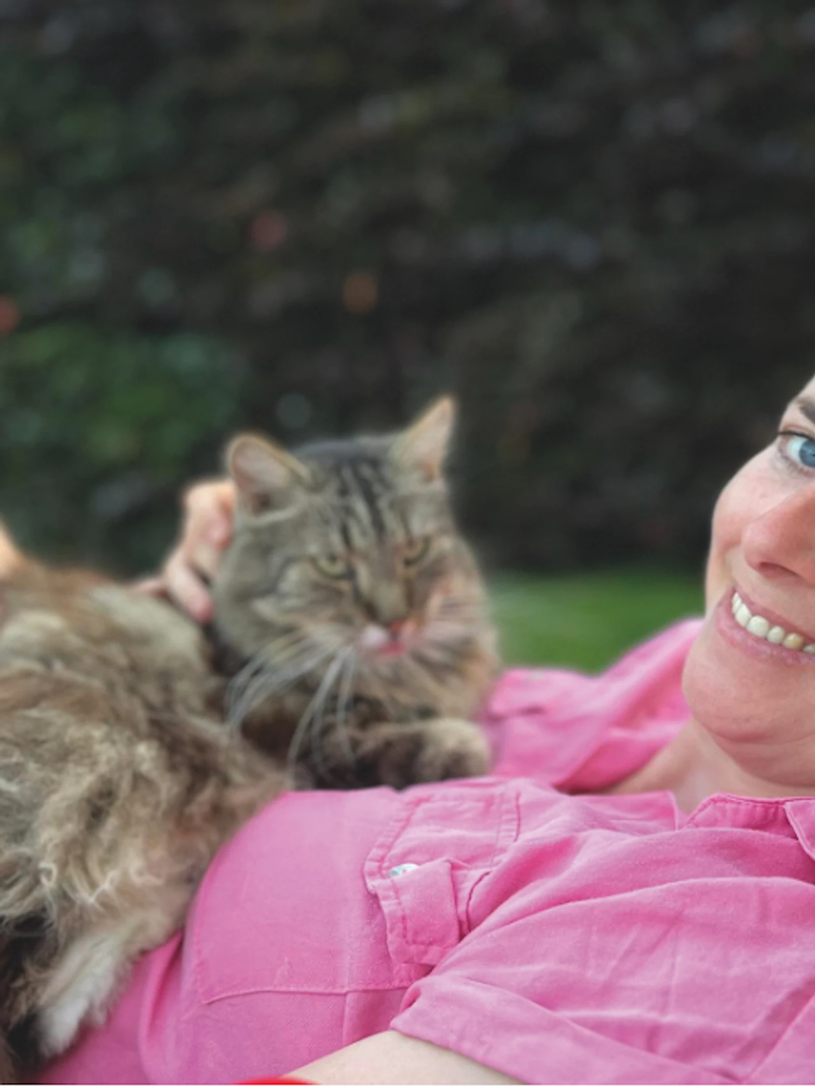 Waarom je hond of kat een gezinslid is geworden
