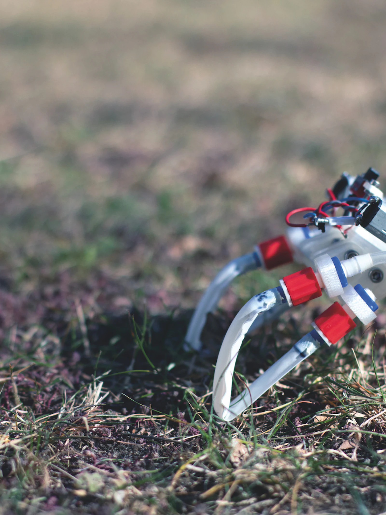 Deze robot loopt, springt en zwemt zonder brein, besturingssysteem of computer