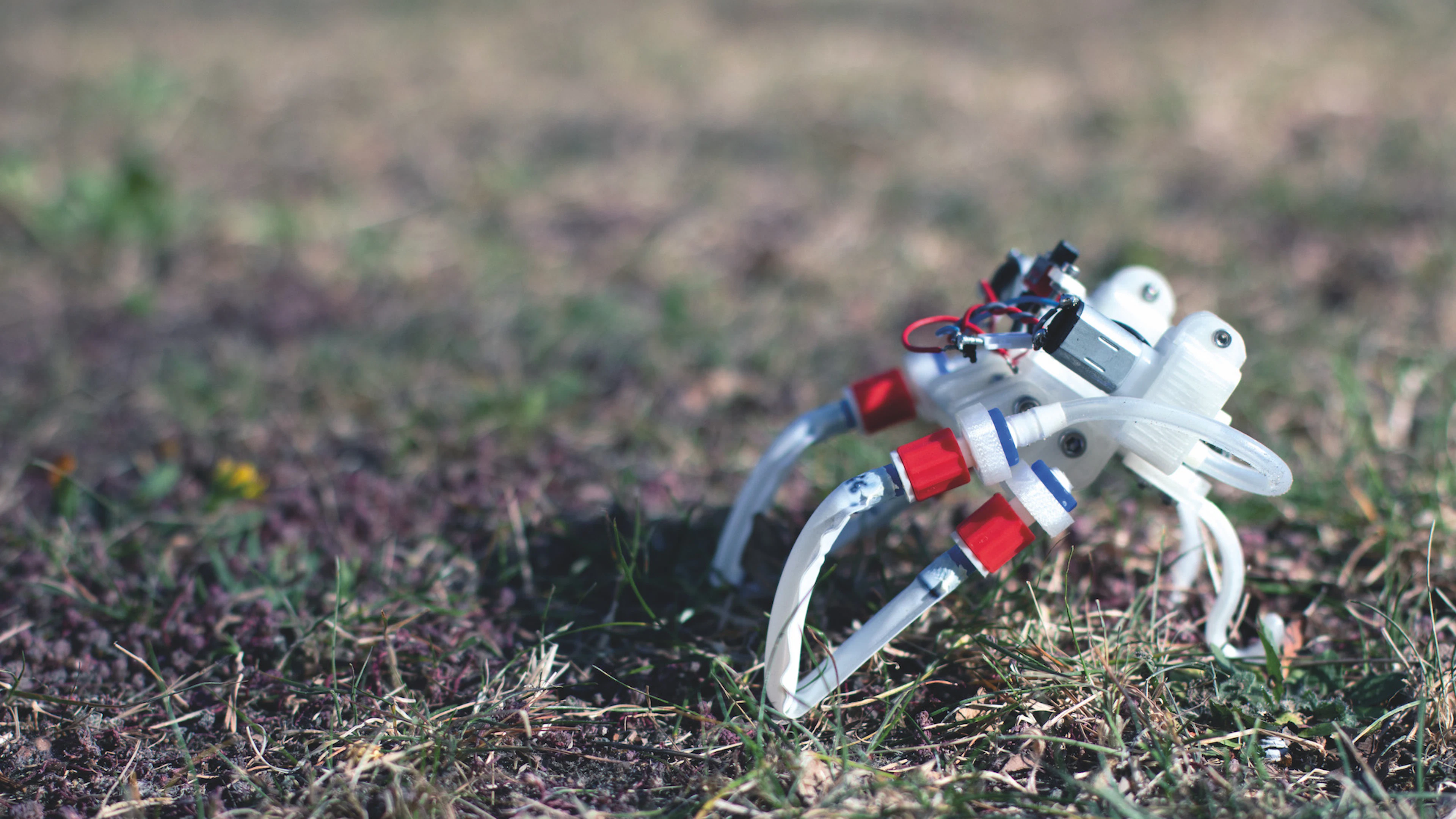 Deze robot loopt, springt en zwemt zonder brein, besturingssysteem of computer