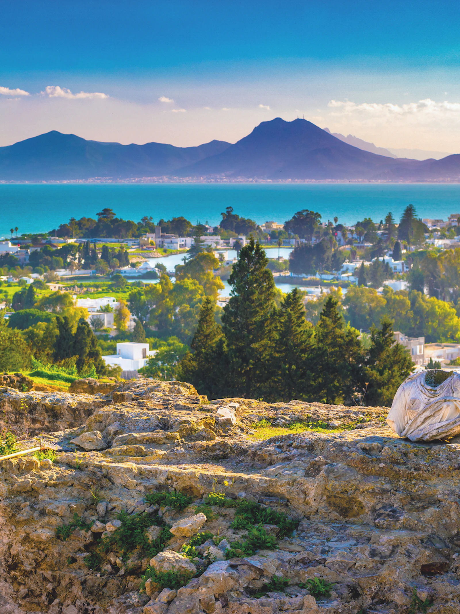 Fenicische roots van Carthago quasi afwezig in DNA