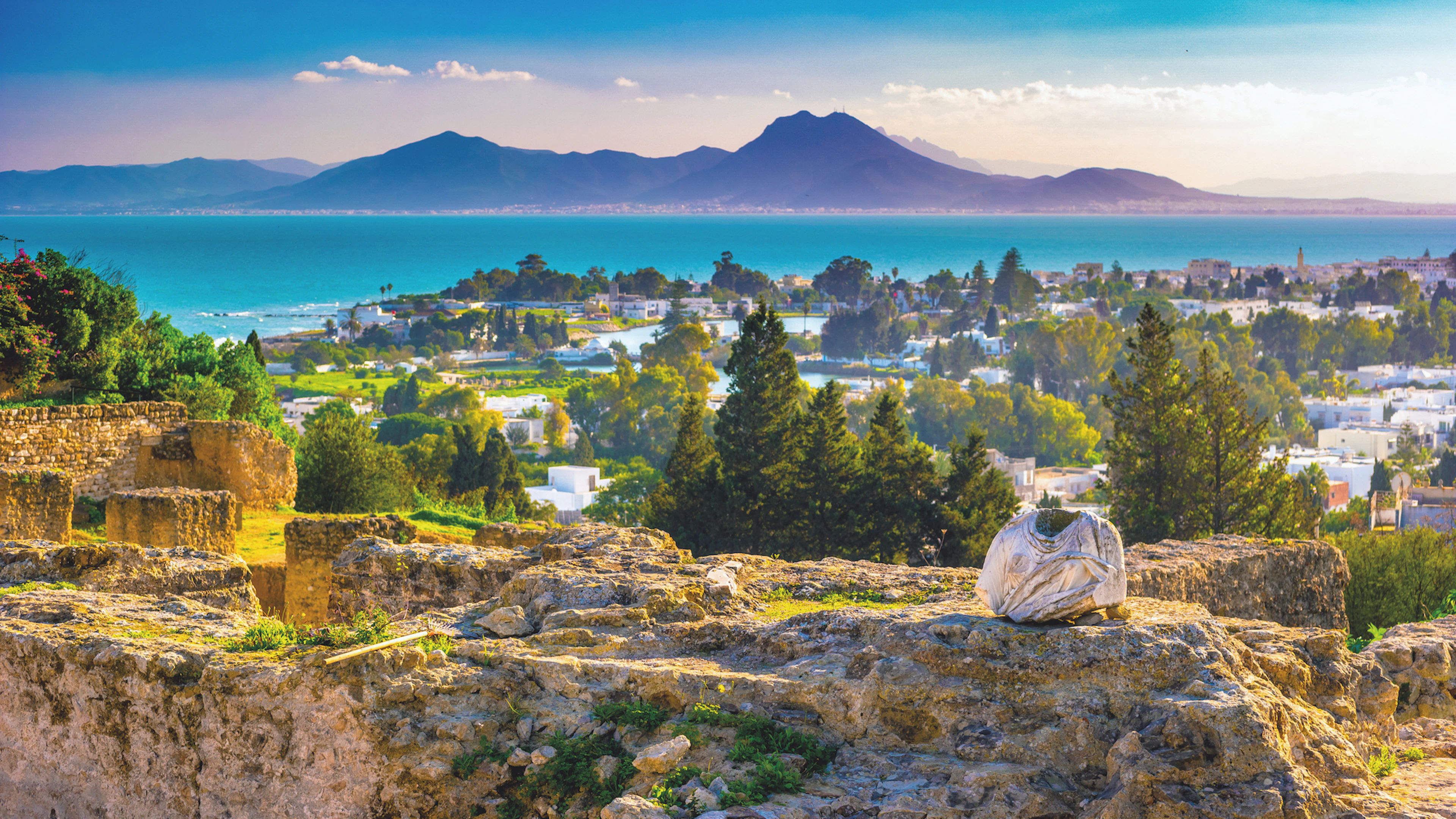 Fenicische roots van Carthago quasi afwezig in DNA