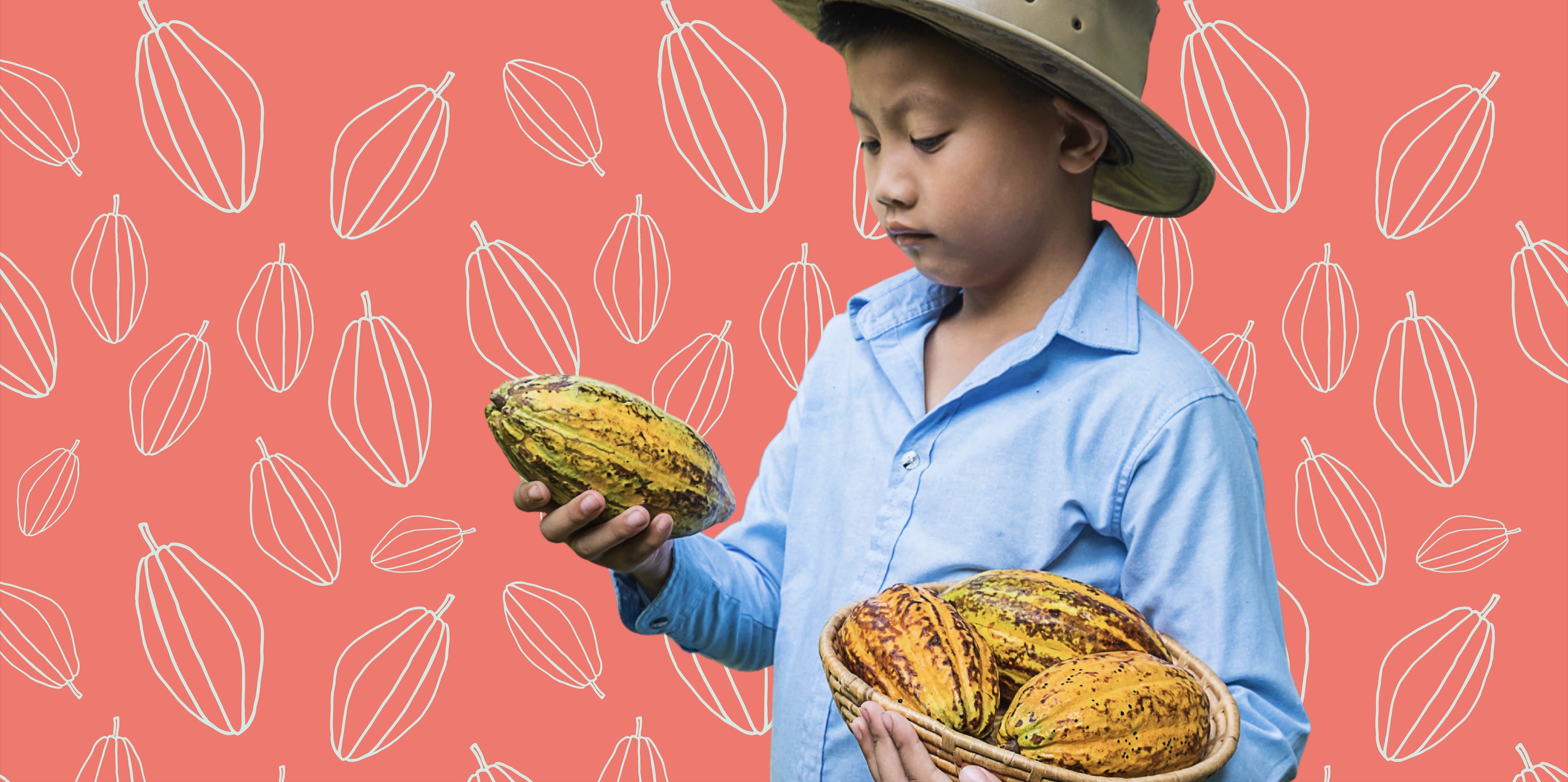 Is cacao ouder dan de mens?