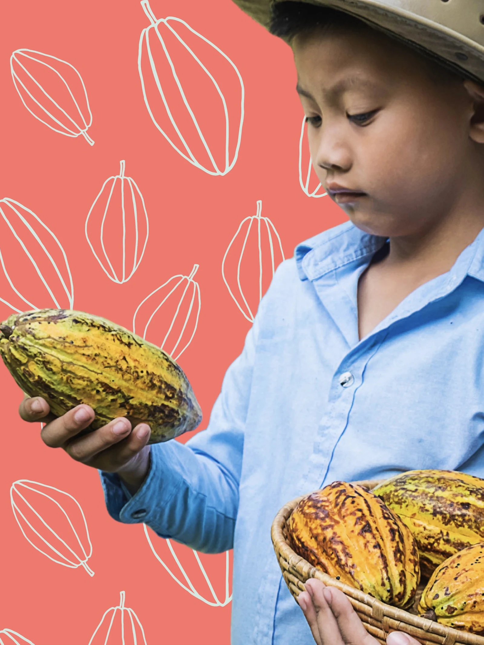 Is cacao ouder dan de mens?