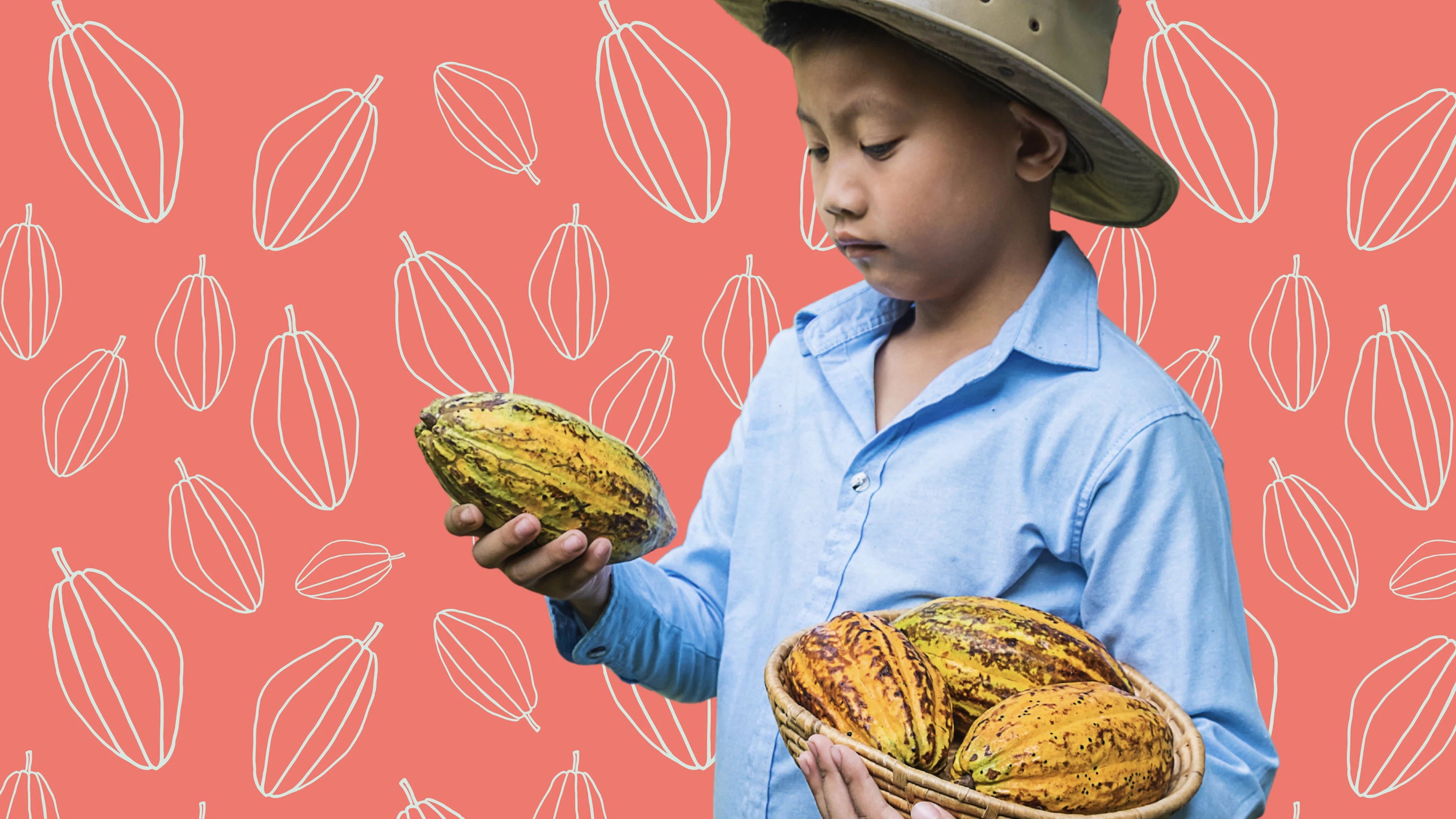 Is cacao ouder dan de mens?