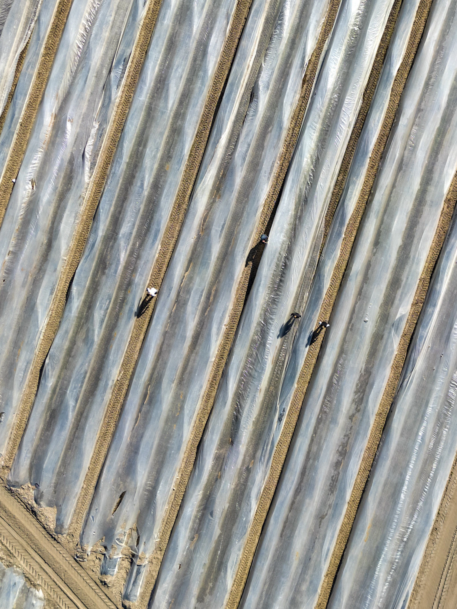 Hoe plastic zich verspreidt van bodem tot bord