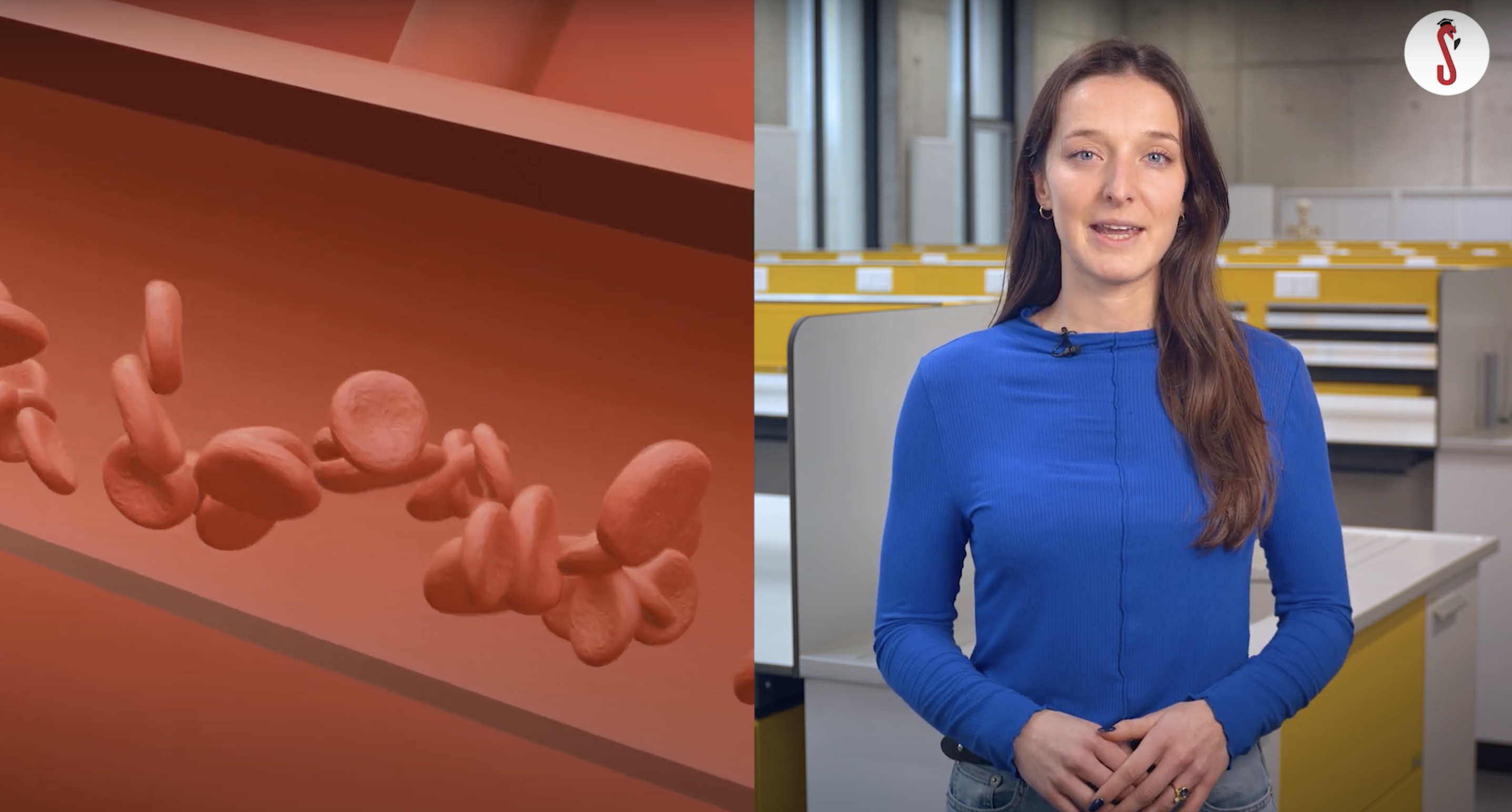 Allergiemedicatie kan jouw sporttrainingen beïnvloeden
