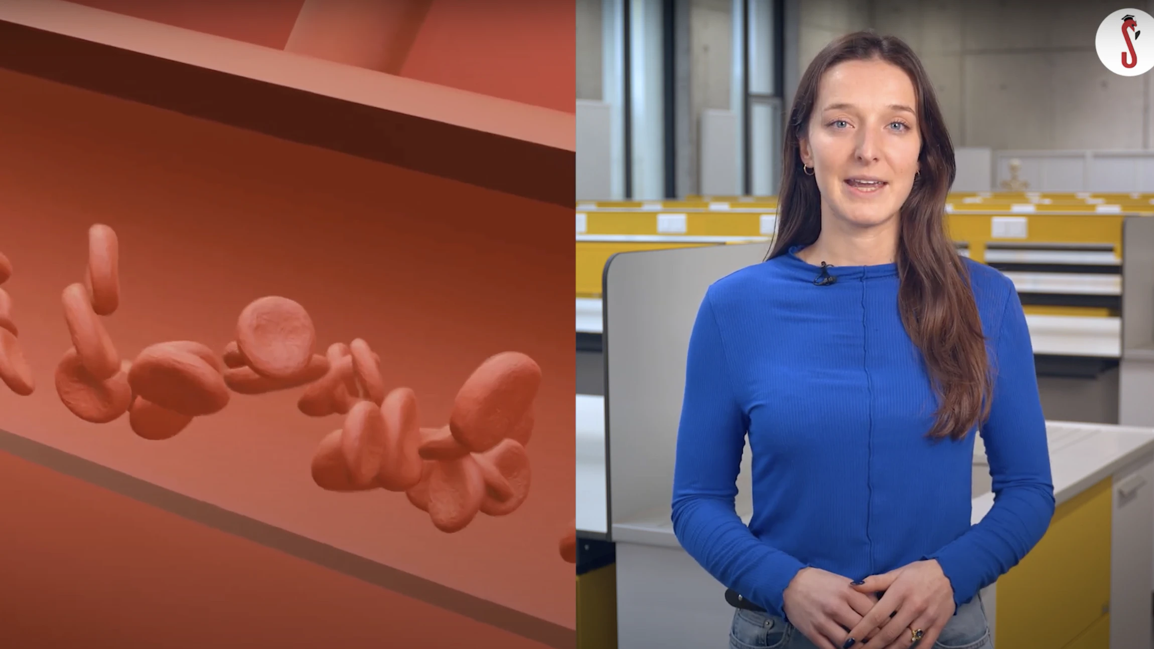 Allergiemedicatie kan jouw sporttrainingen beïnvloeden