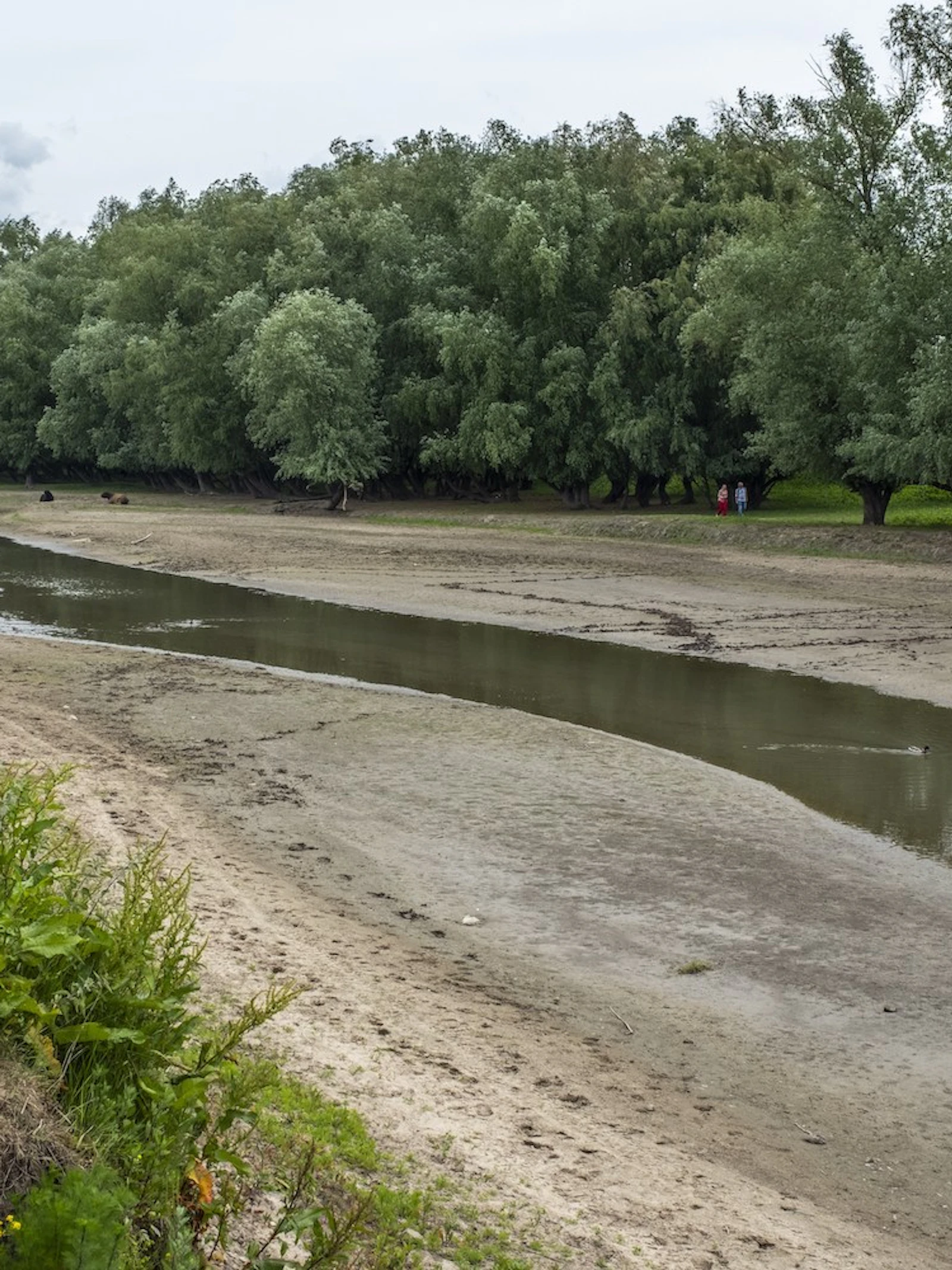 ‘We moeten het grondwater beter beheren, anders komt de voedselzekerheid in het gedrang’