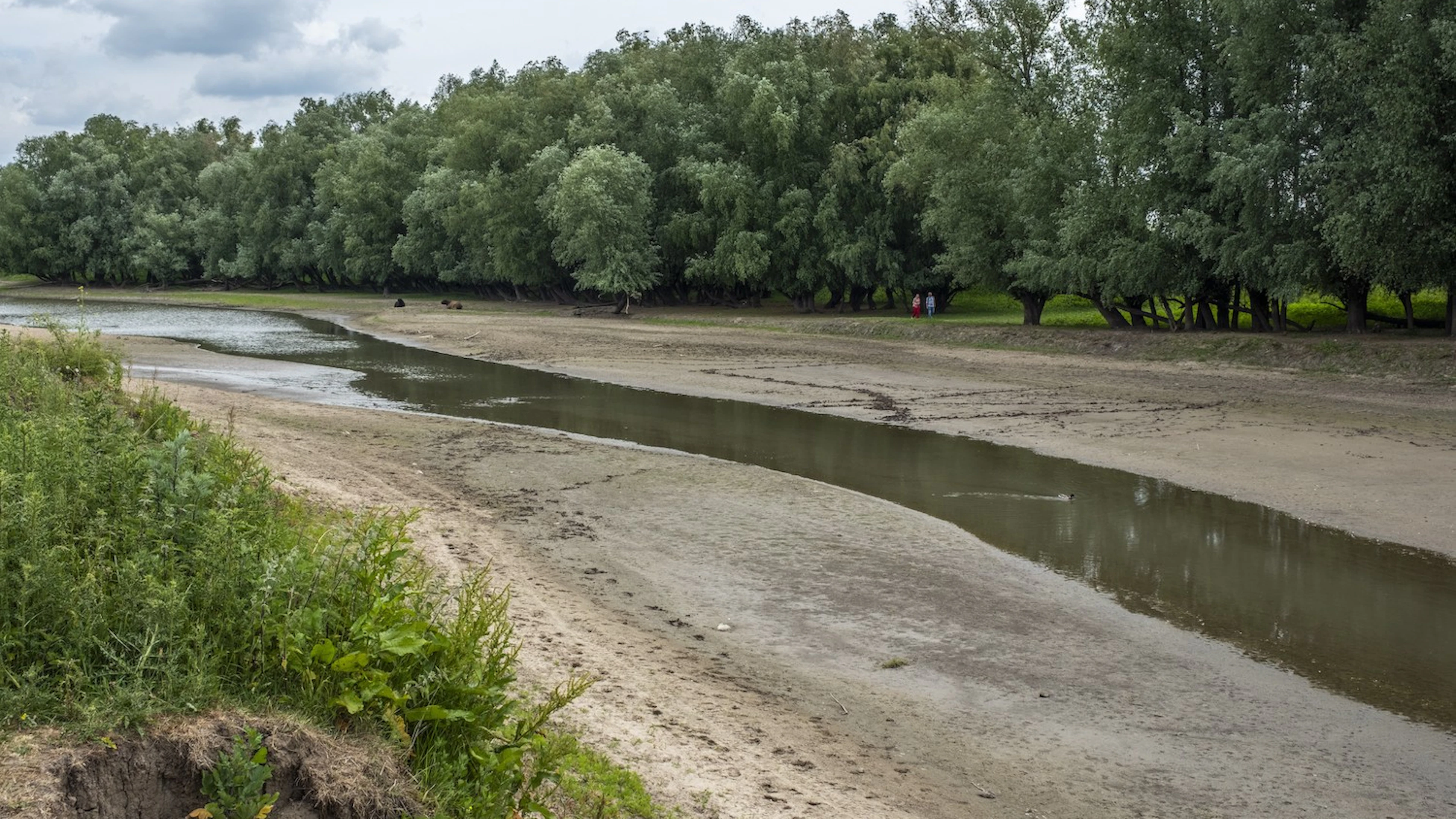 ‘We moeten het grondwater beter beheren, anders komt de voedselzekerheid in het gedrang’