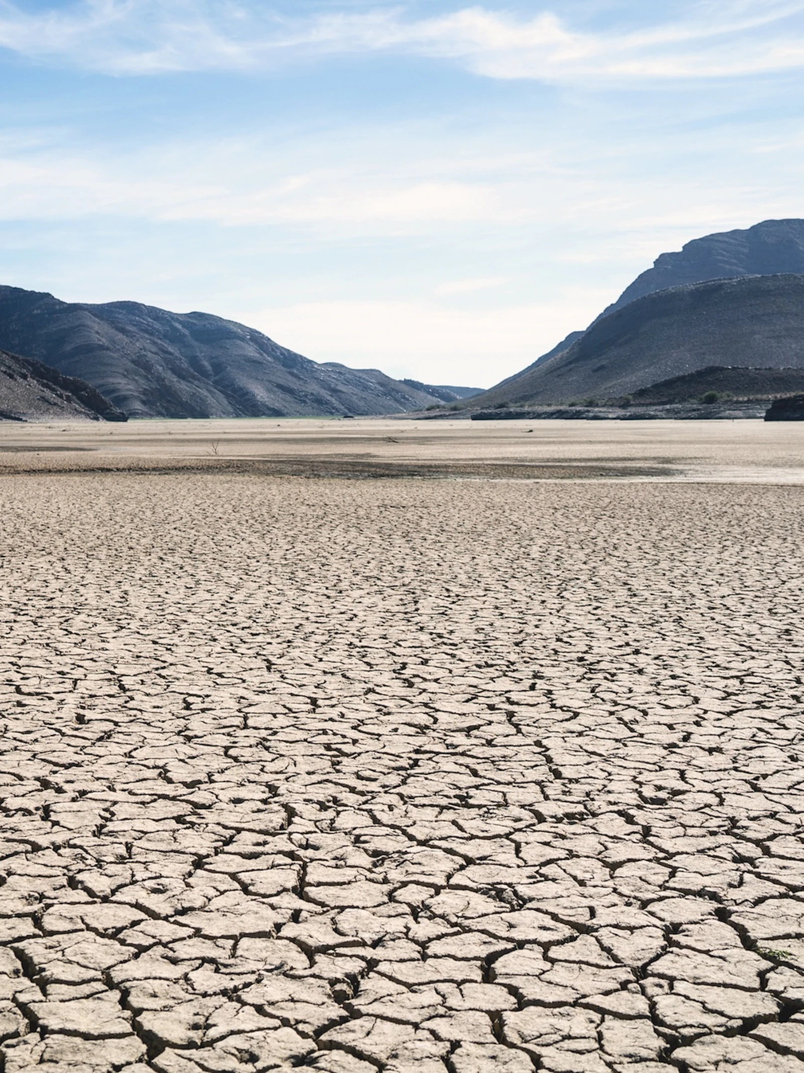 Zuid-Afrika veert op door extreme droogte
