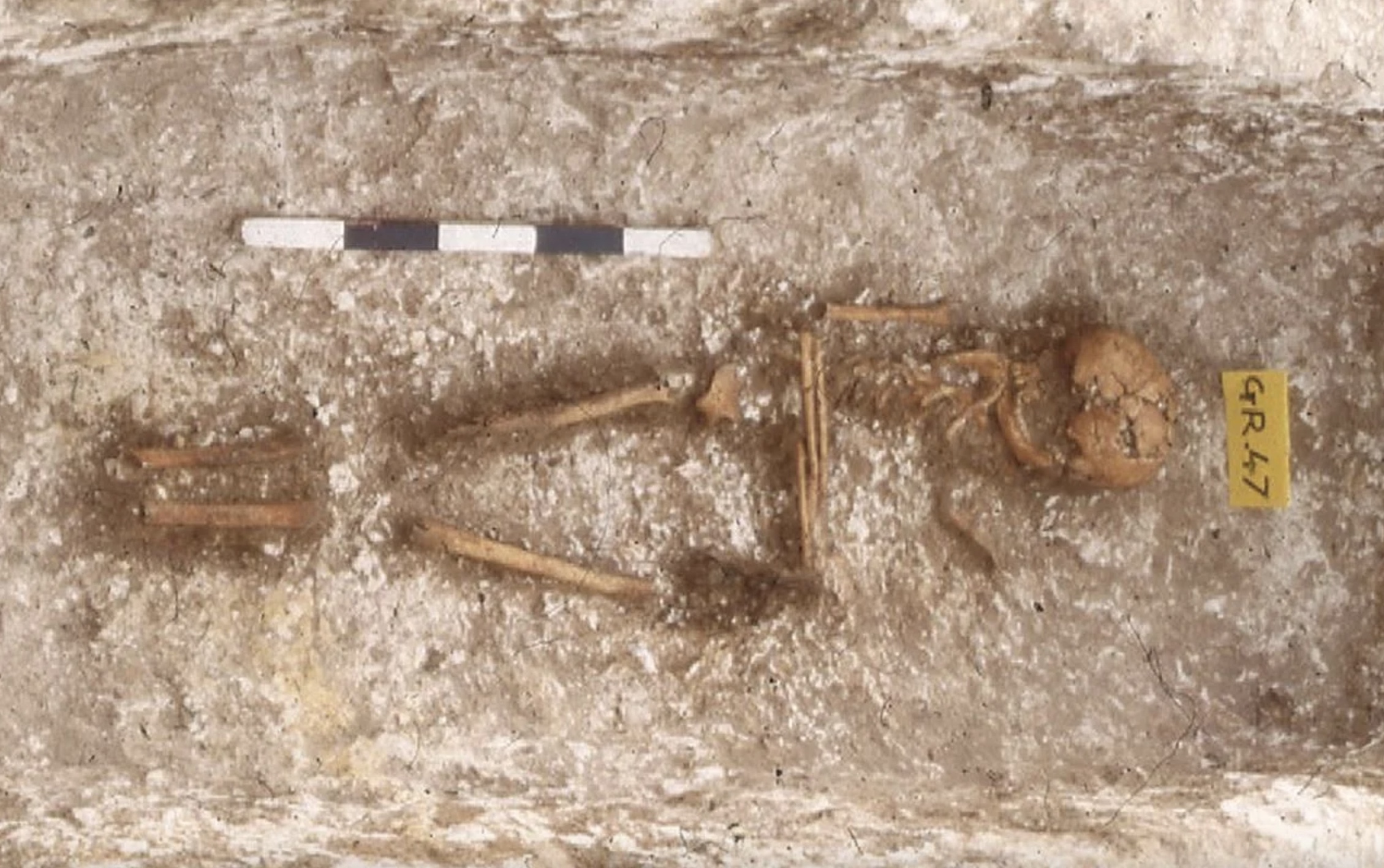 West-Afrikaans DNA in Angelsaksische graven
