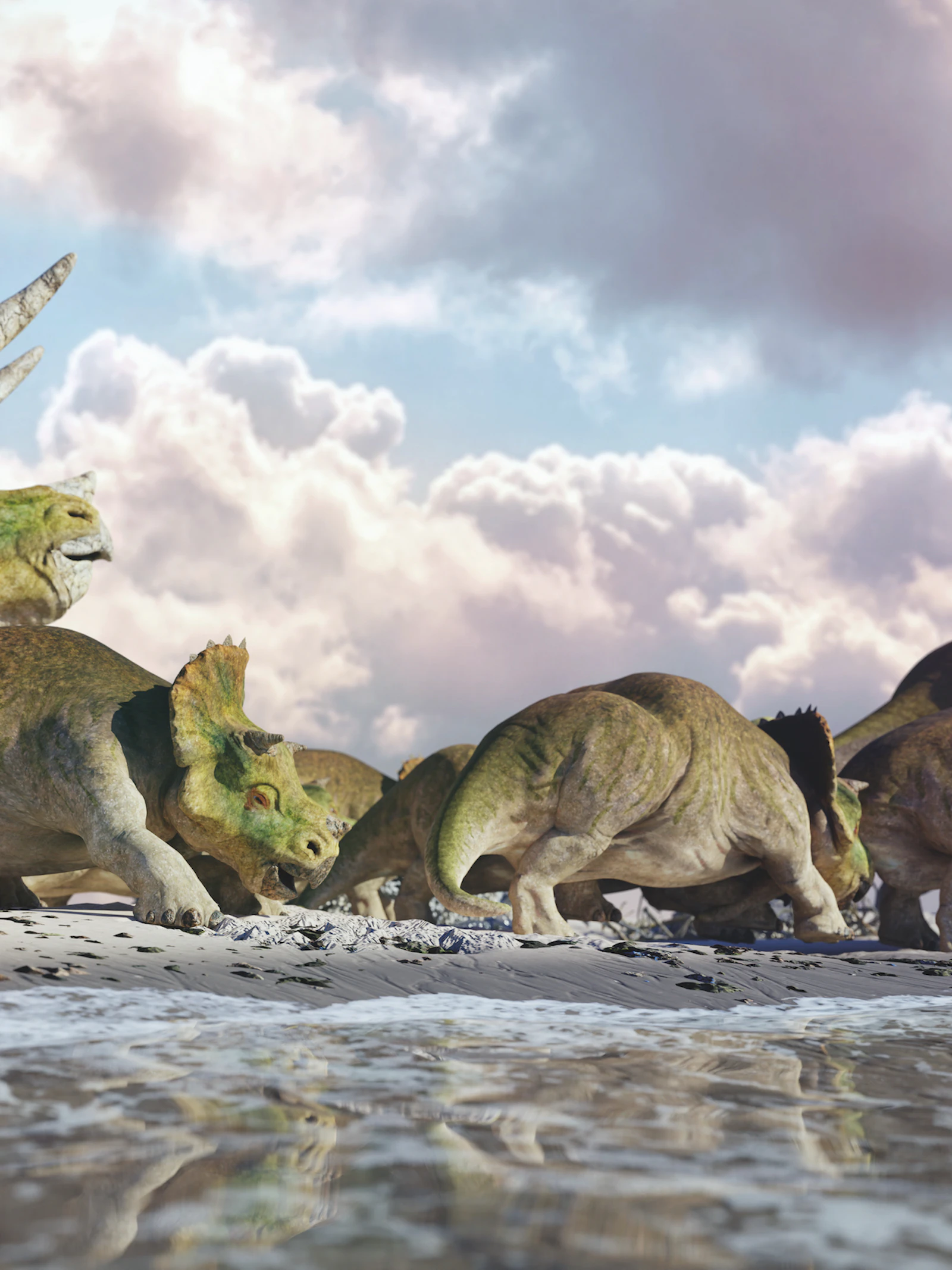 Dino's waren socialer dan we dachten