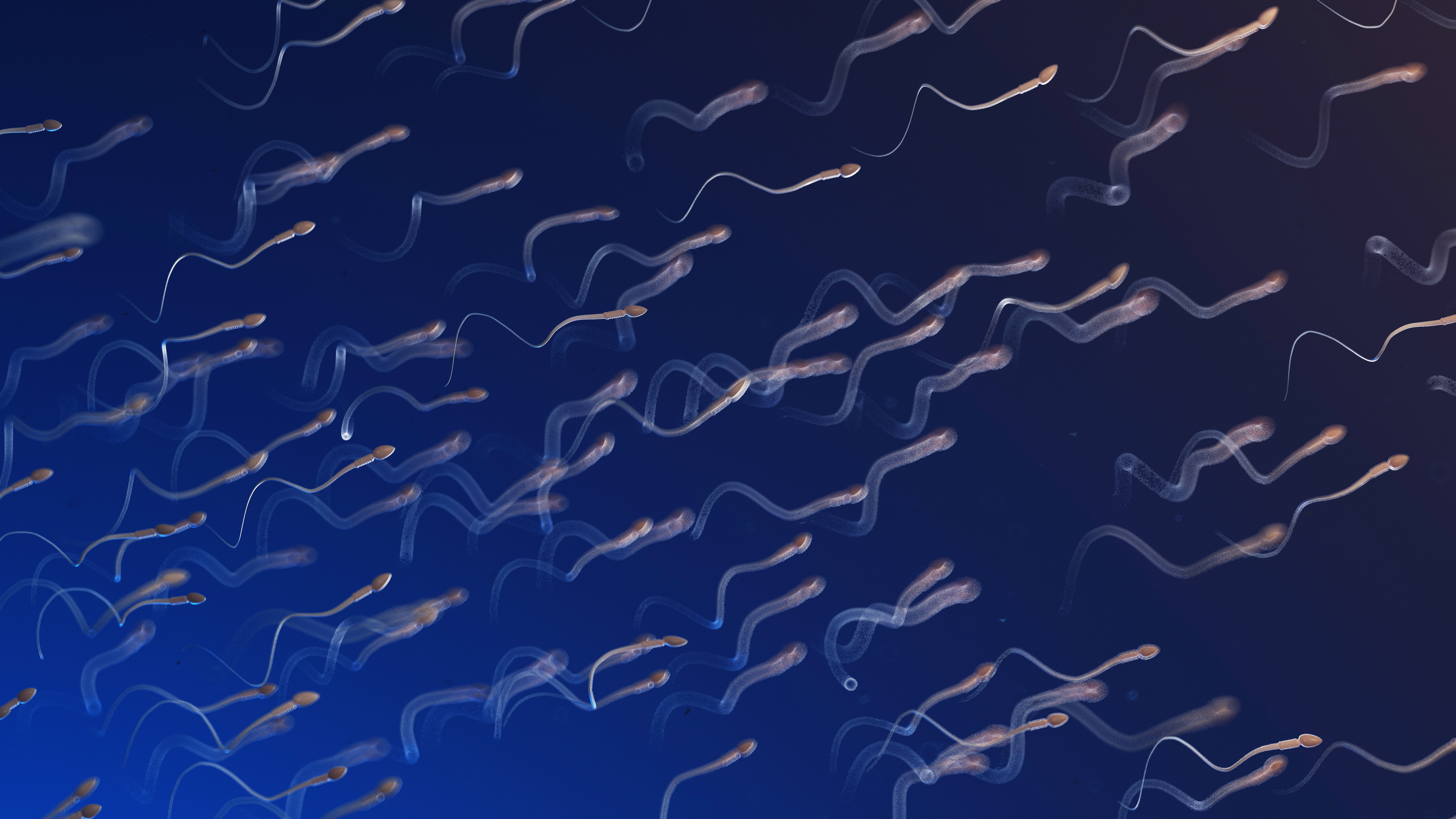 Zaadcellen worden microrobots