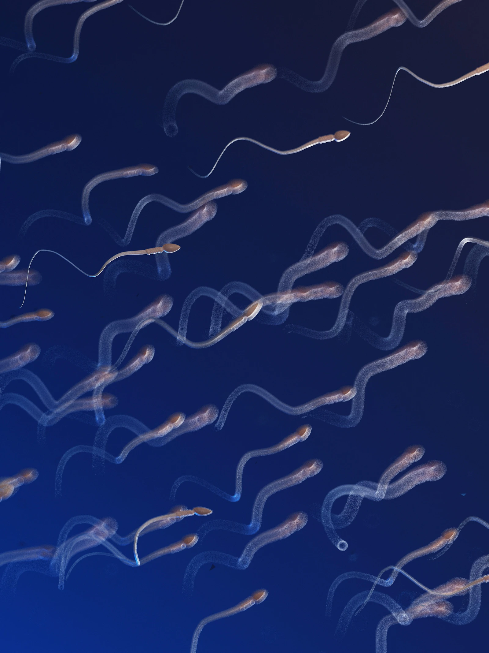 Zaadcellen worden microrobots