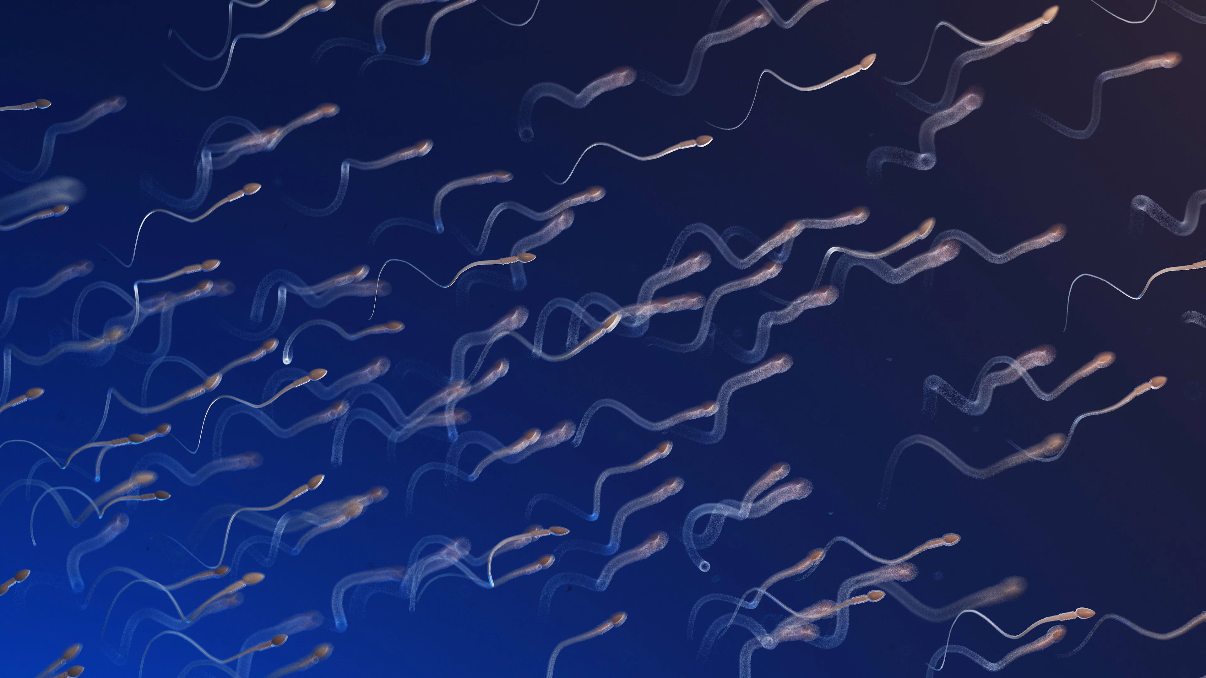 Zaadcellen worden microrobots
