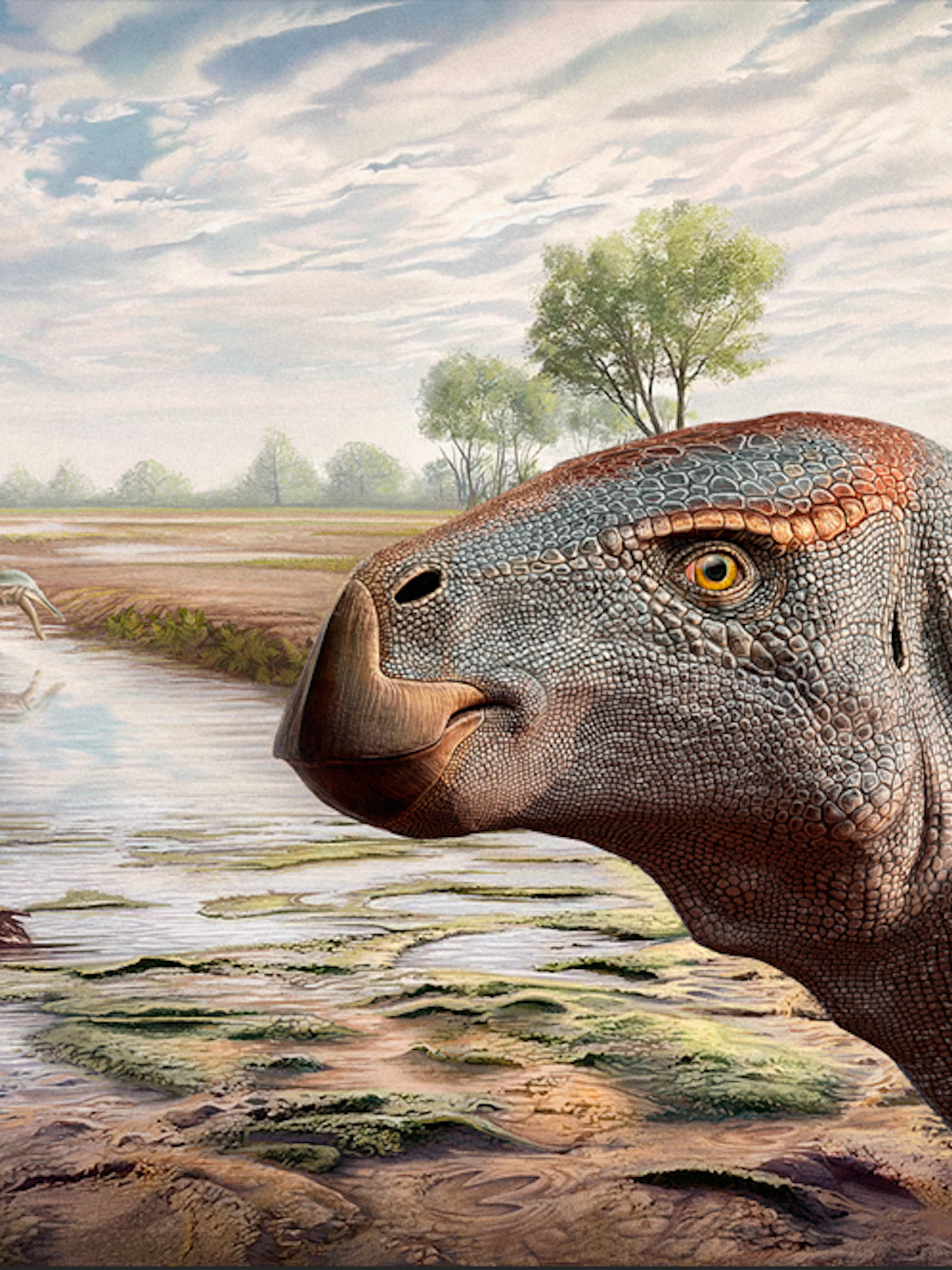 Nieuwe plantenetende dino ontdekt in Portugal