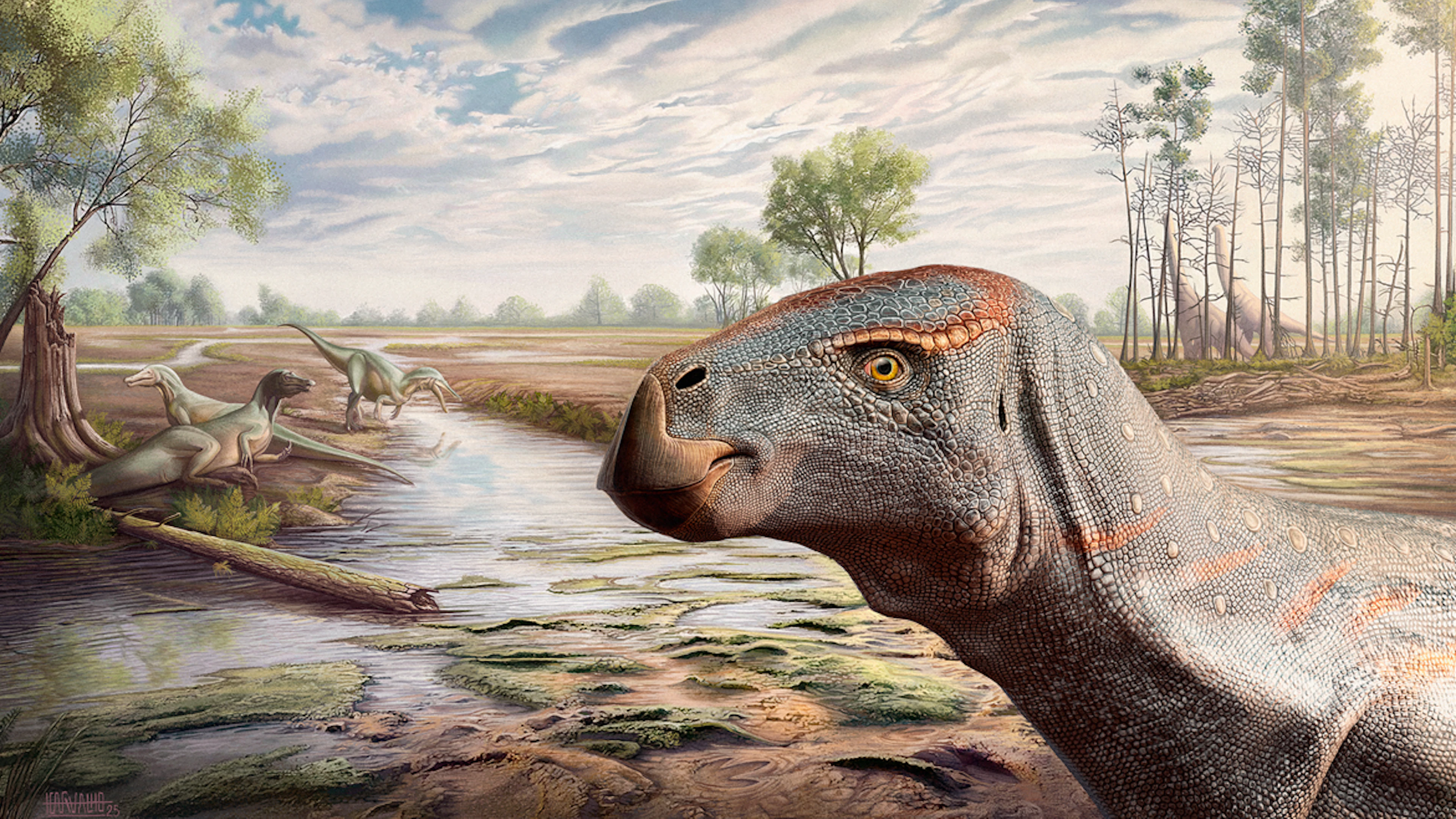 Nieuwe plantenetende dino ontdekt in Portugal