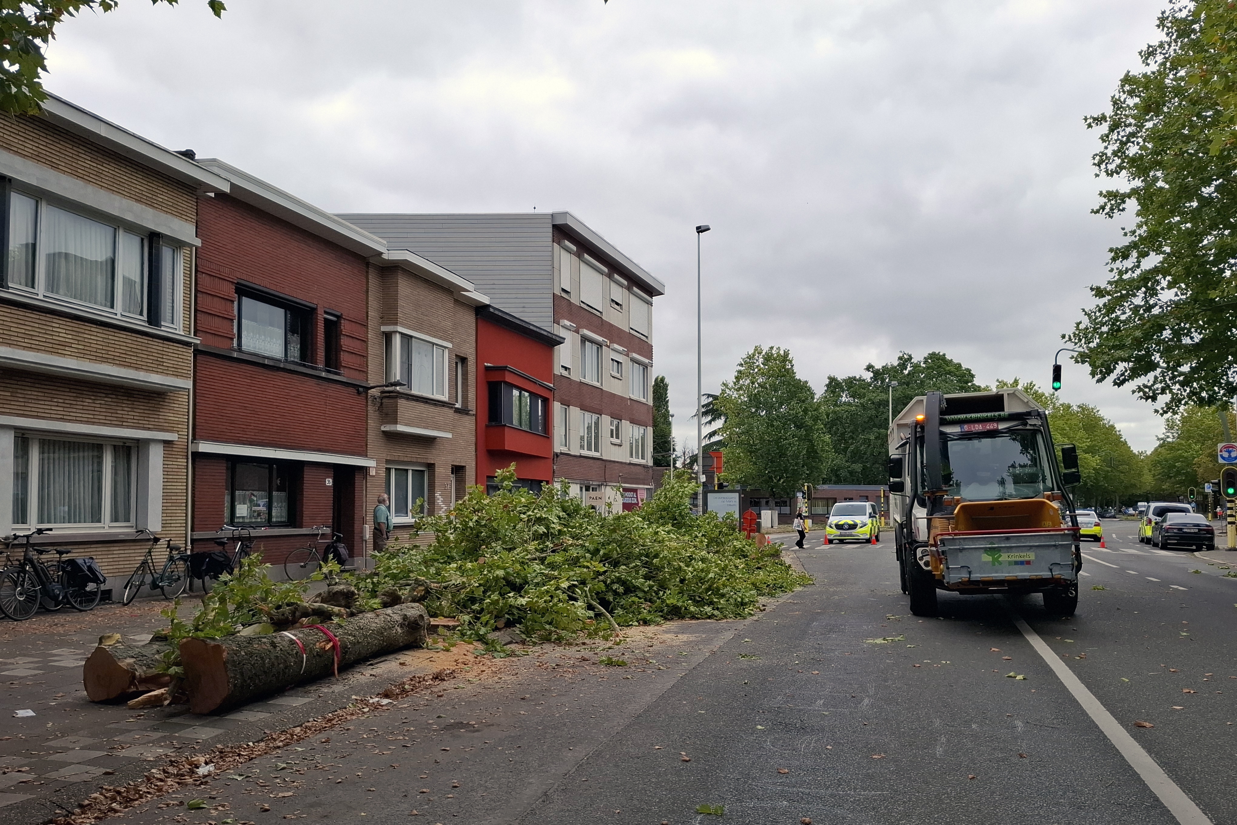 Het verhaal over bomen en klimaat is niet zwart-wit