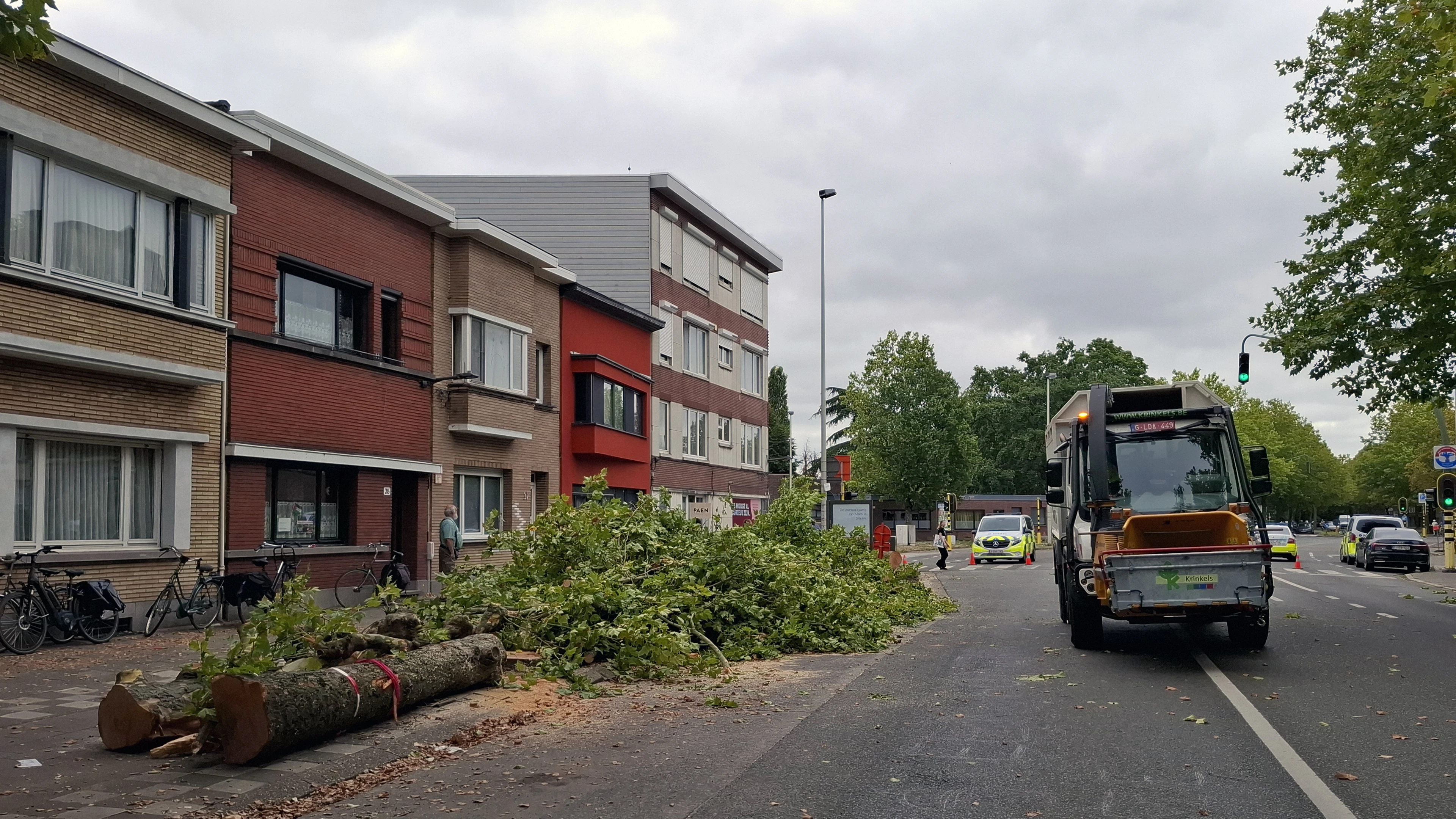 Het verhaal over bomen en klimaat is niet zwart-wit