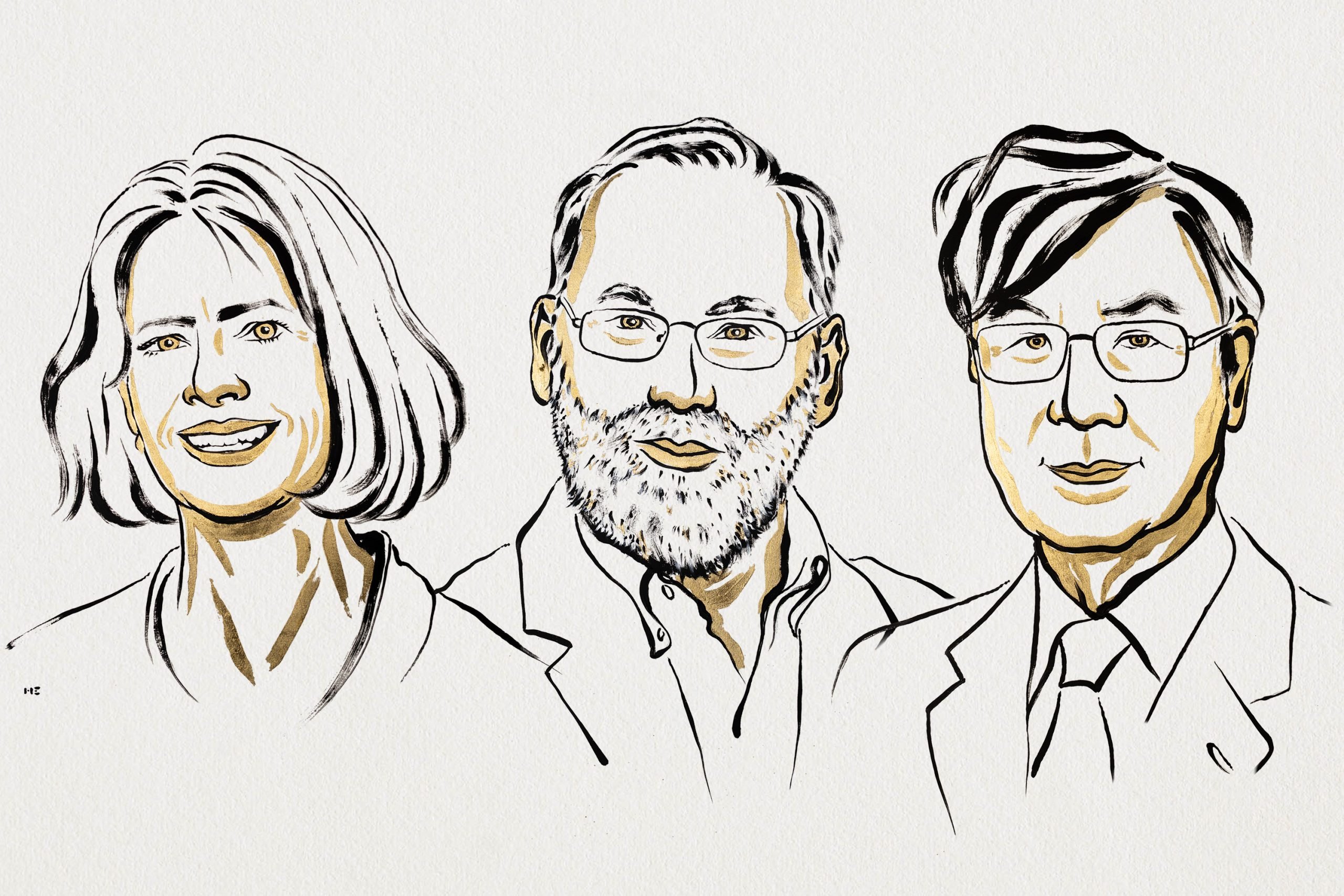 Nobelprijs Geneeskunde naar ontdekkingen over ‘rem op immuunsysteem’