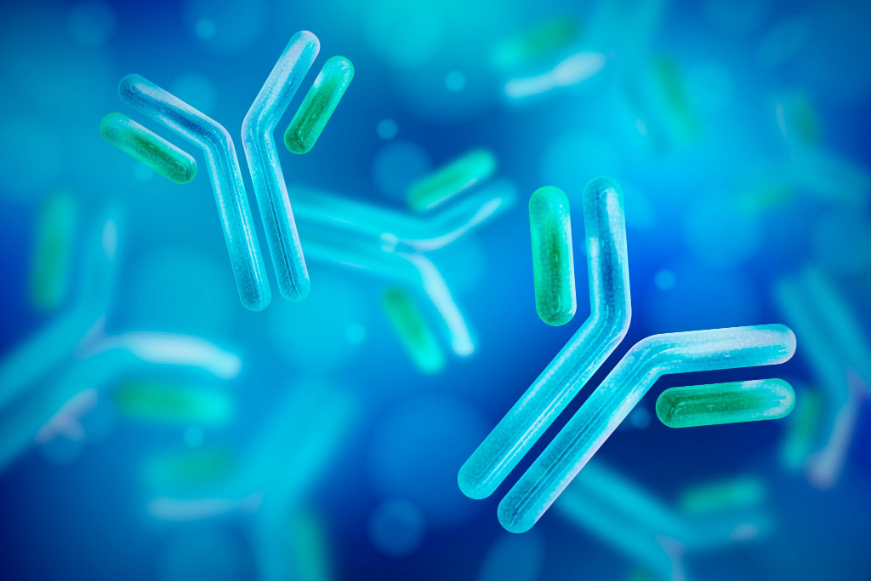 Eiwit-engineering zorgt voor optimale medicatie